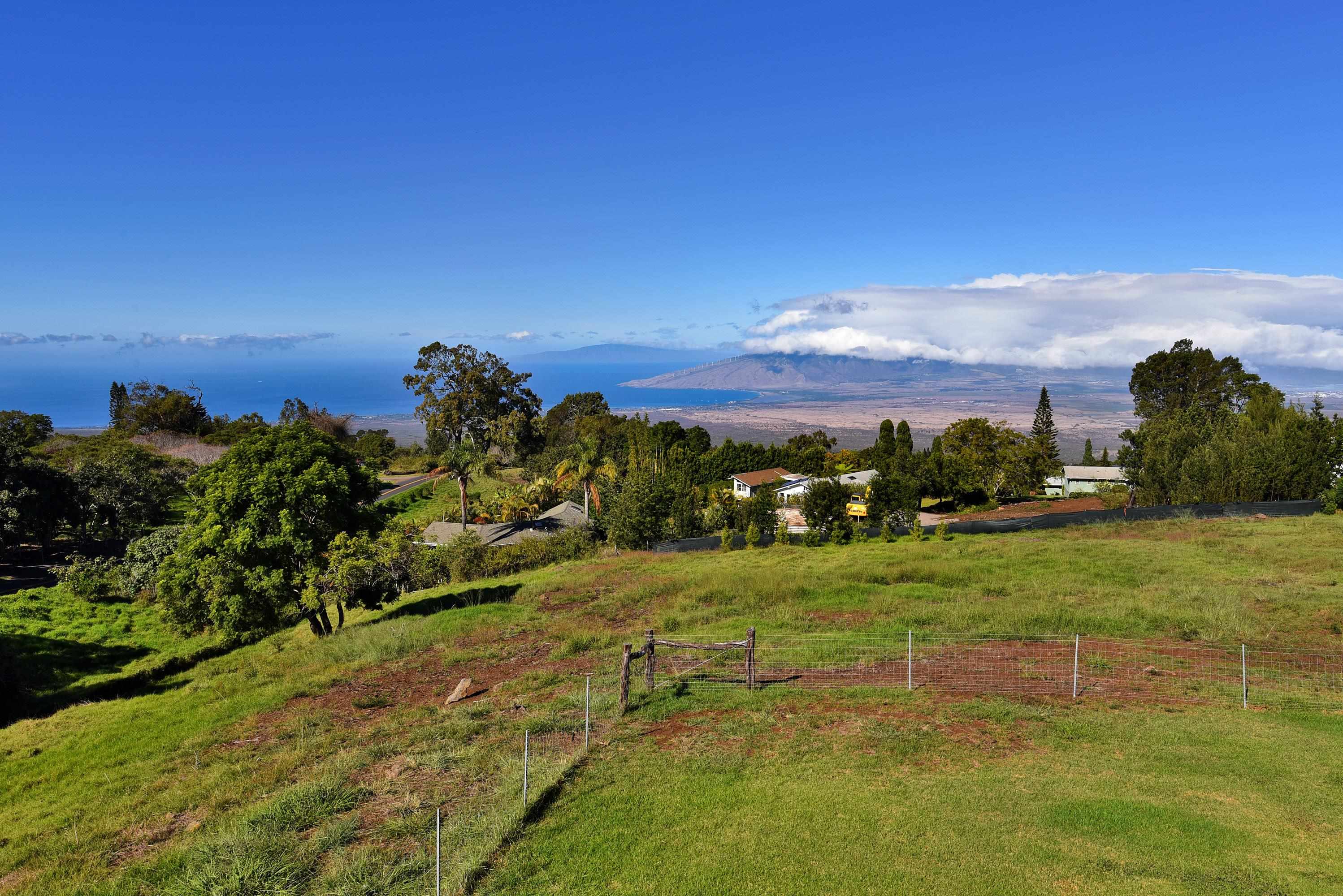 909  Copp Rd Kula, Kula/Ulupalakua/Kanaio home - photo 44 of 47