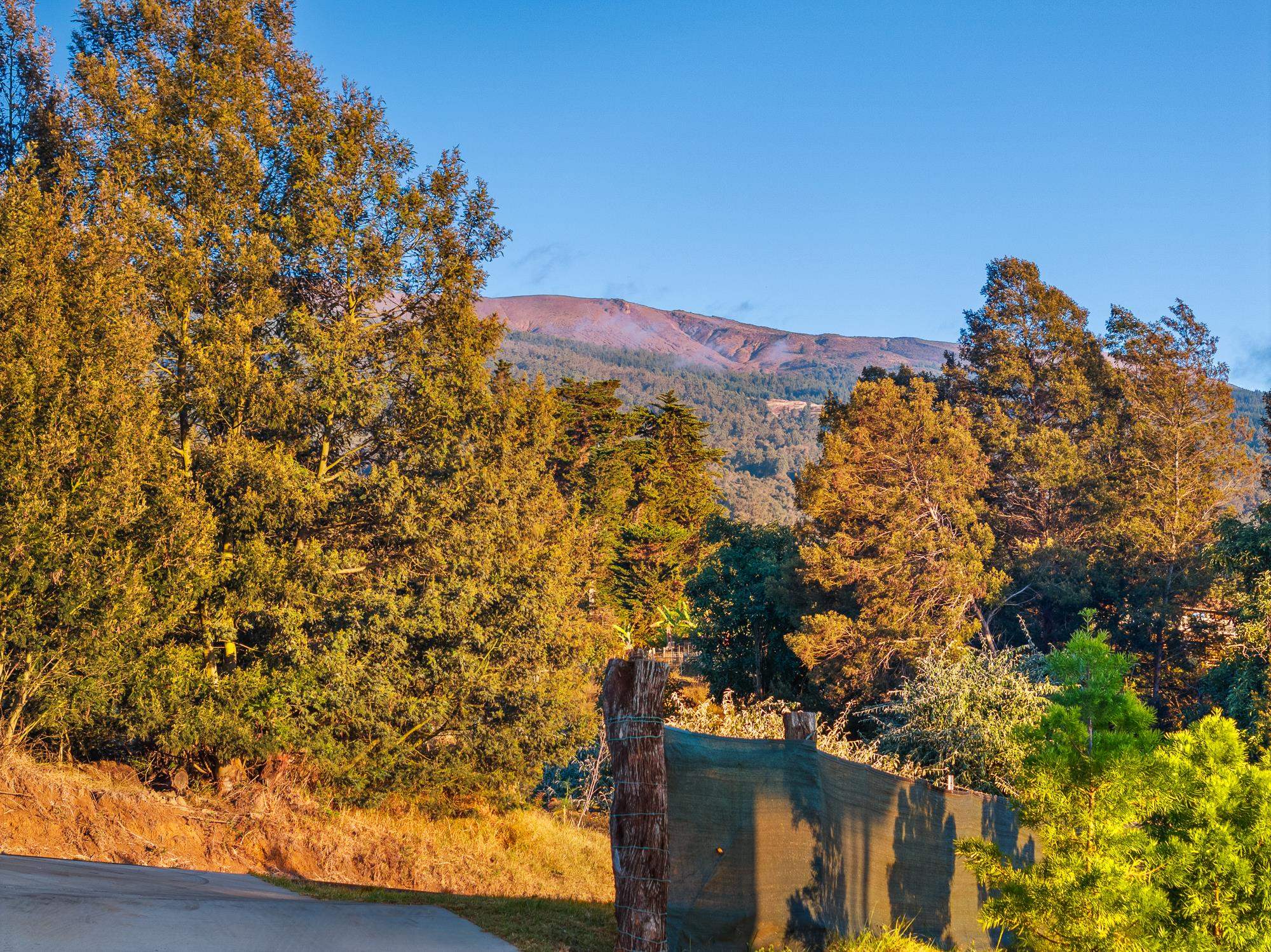 909  Copp Rd Kula, Kula/Ulupalakua/Kanaio home - photo 33 of 48