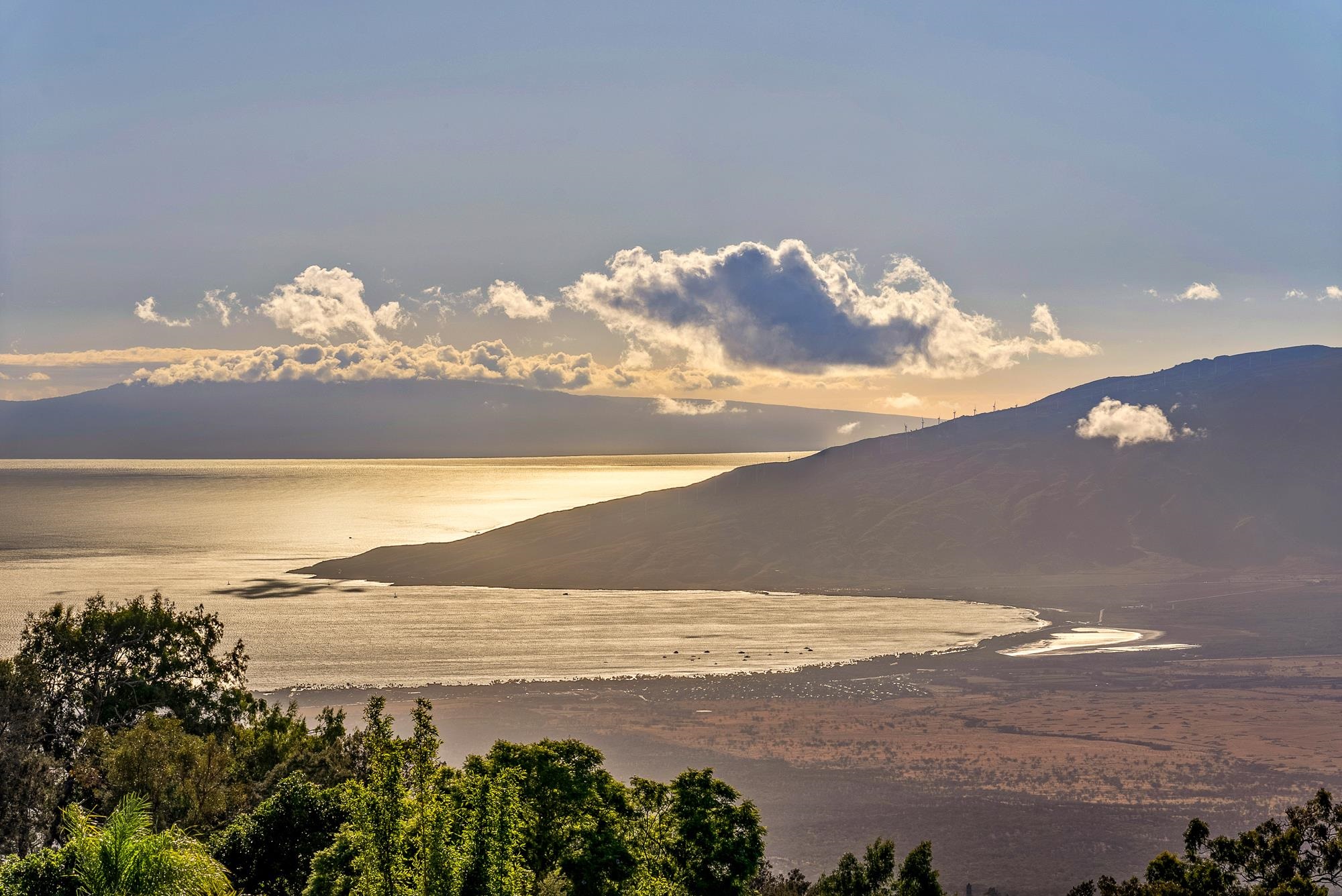 909  Copp Rd Kula, Kula/Ulupalakua/Kanaio home - photo 36 of 48