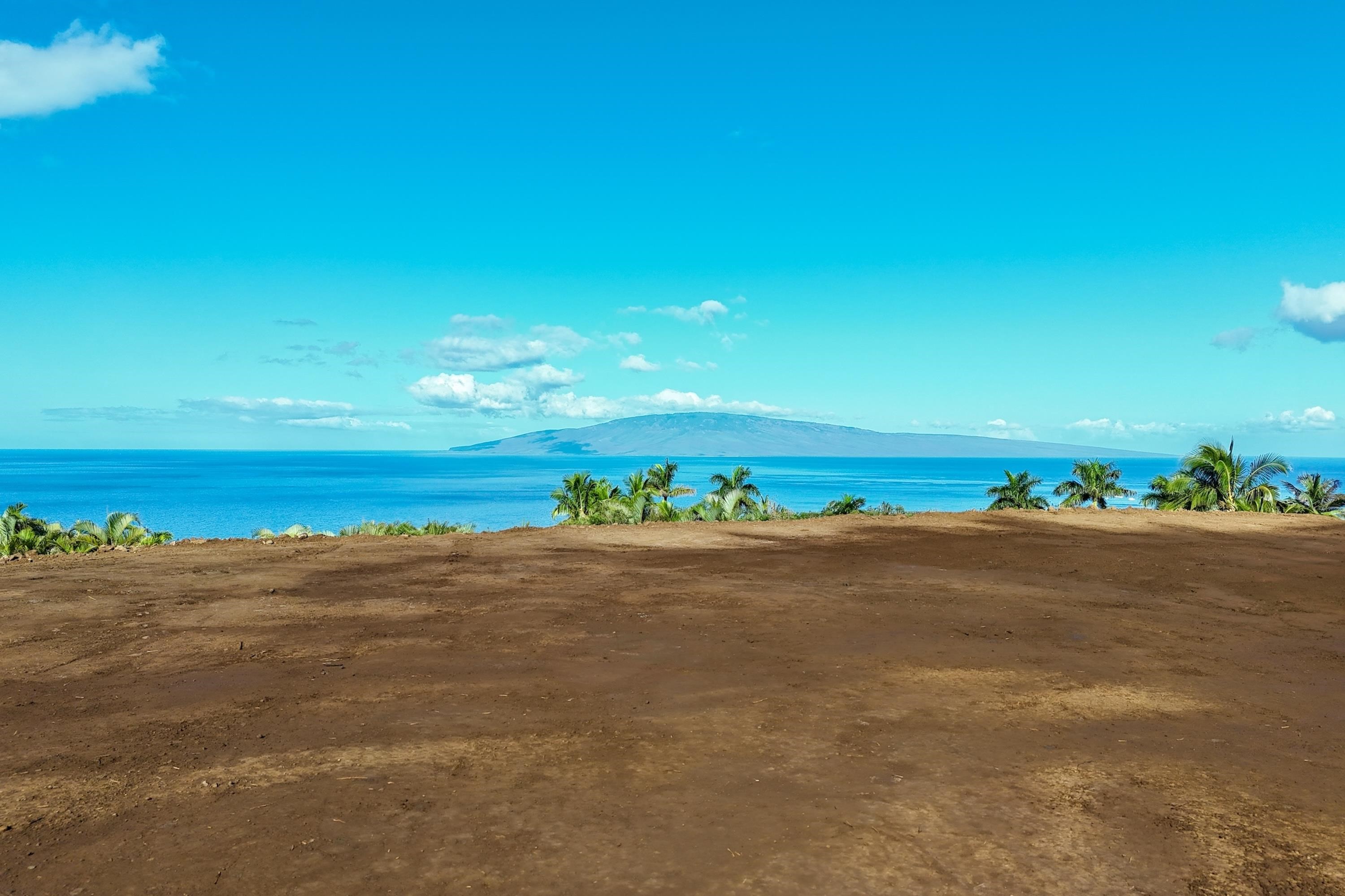 91  Kumu Niu Pl Launiupoko, Lahaina home - photo 42 of 48