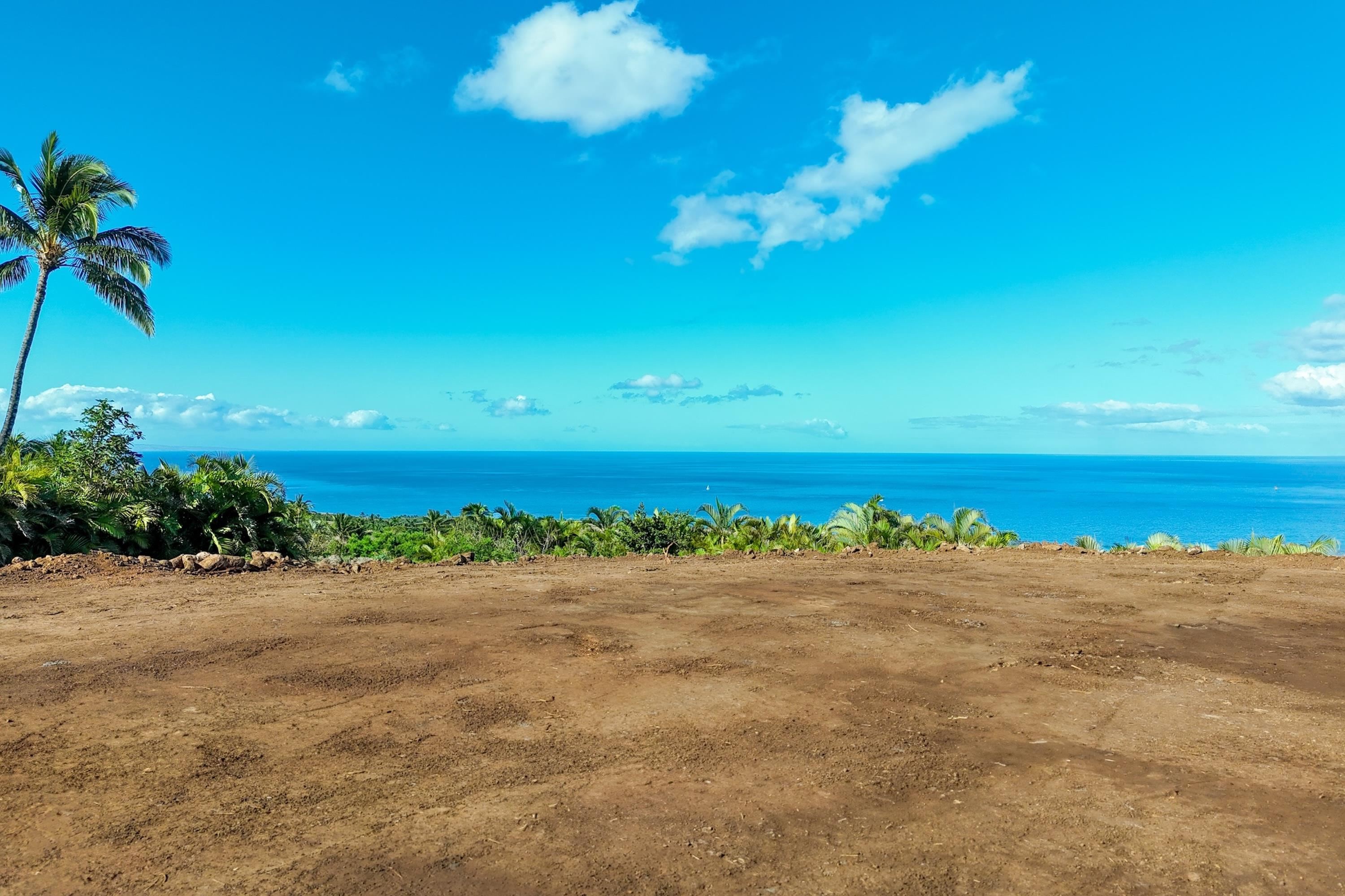 91  Kumu Niu Pl Launiupoko, Lahaina home - photo 43 of 48