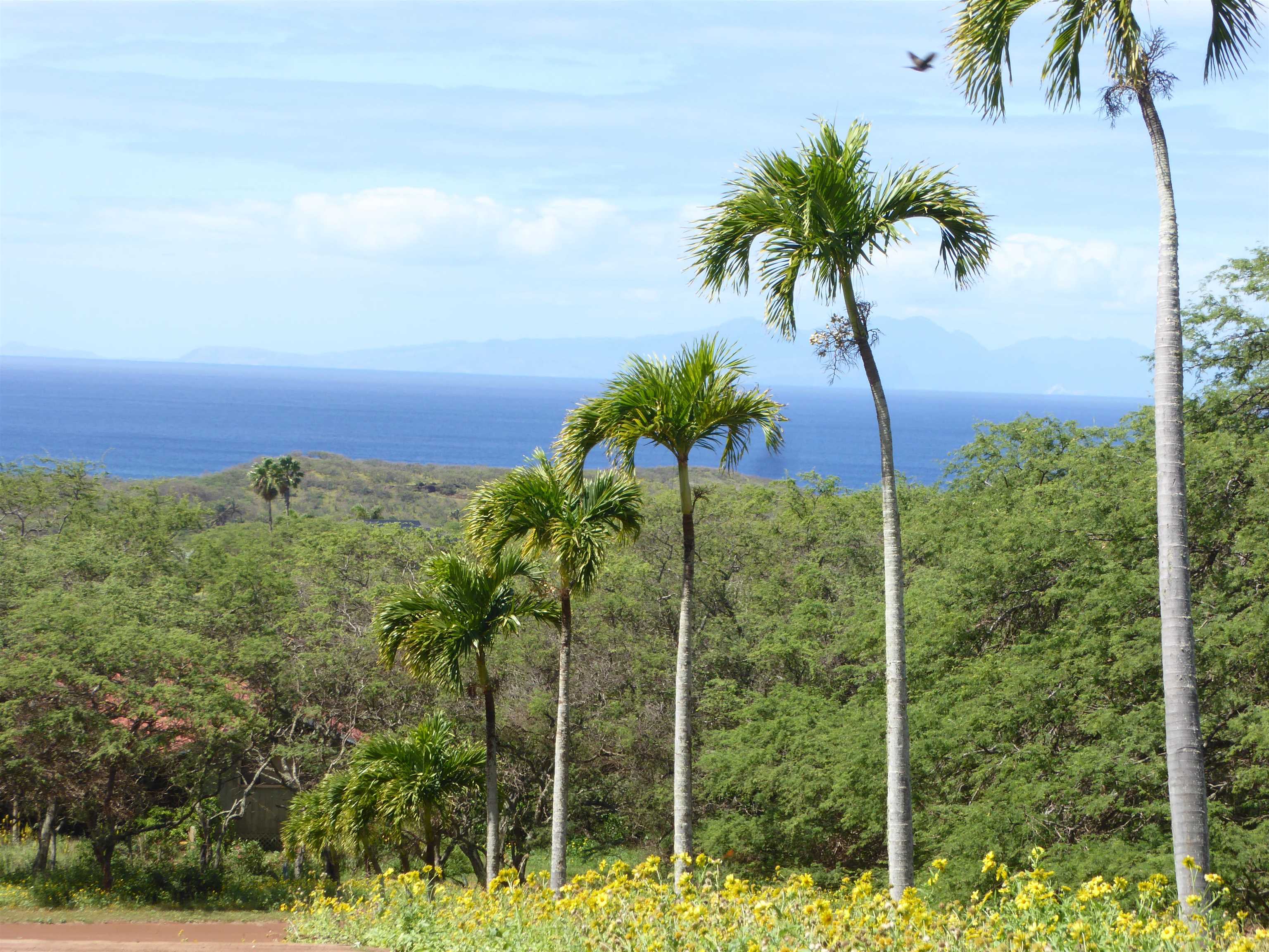 91  Noho Lio Rd , Molokai home - photo 2 of 27