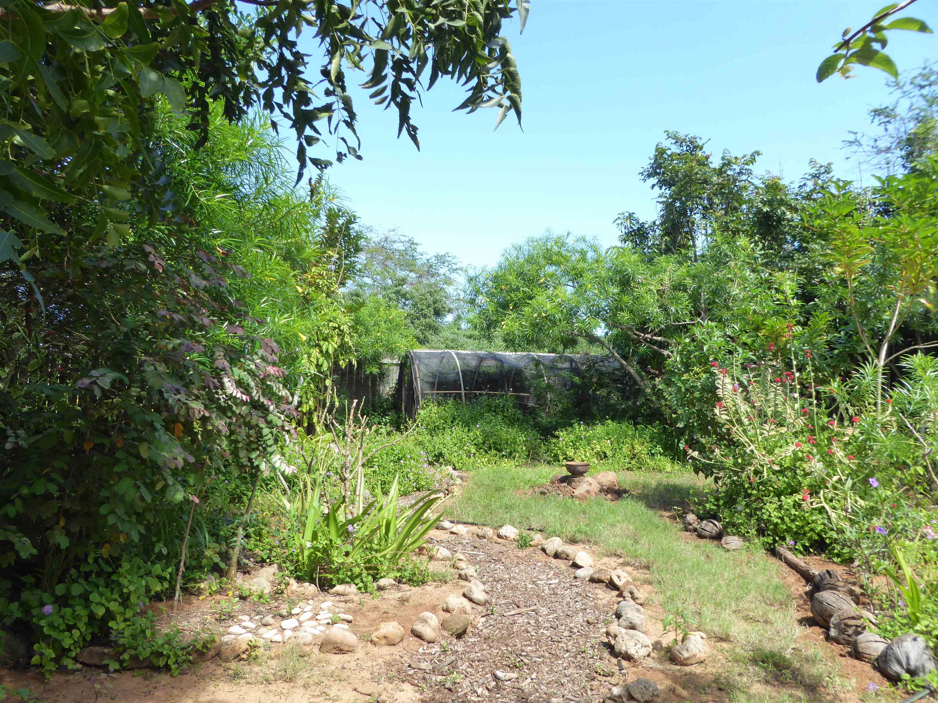 91  Noho Lio Rd , Molokai home - photo 11 of 27