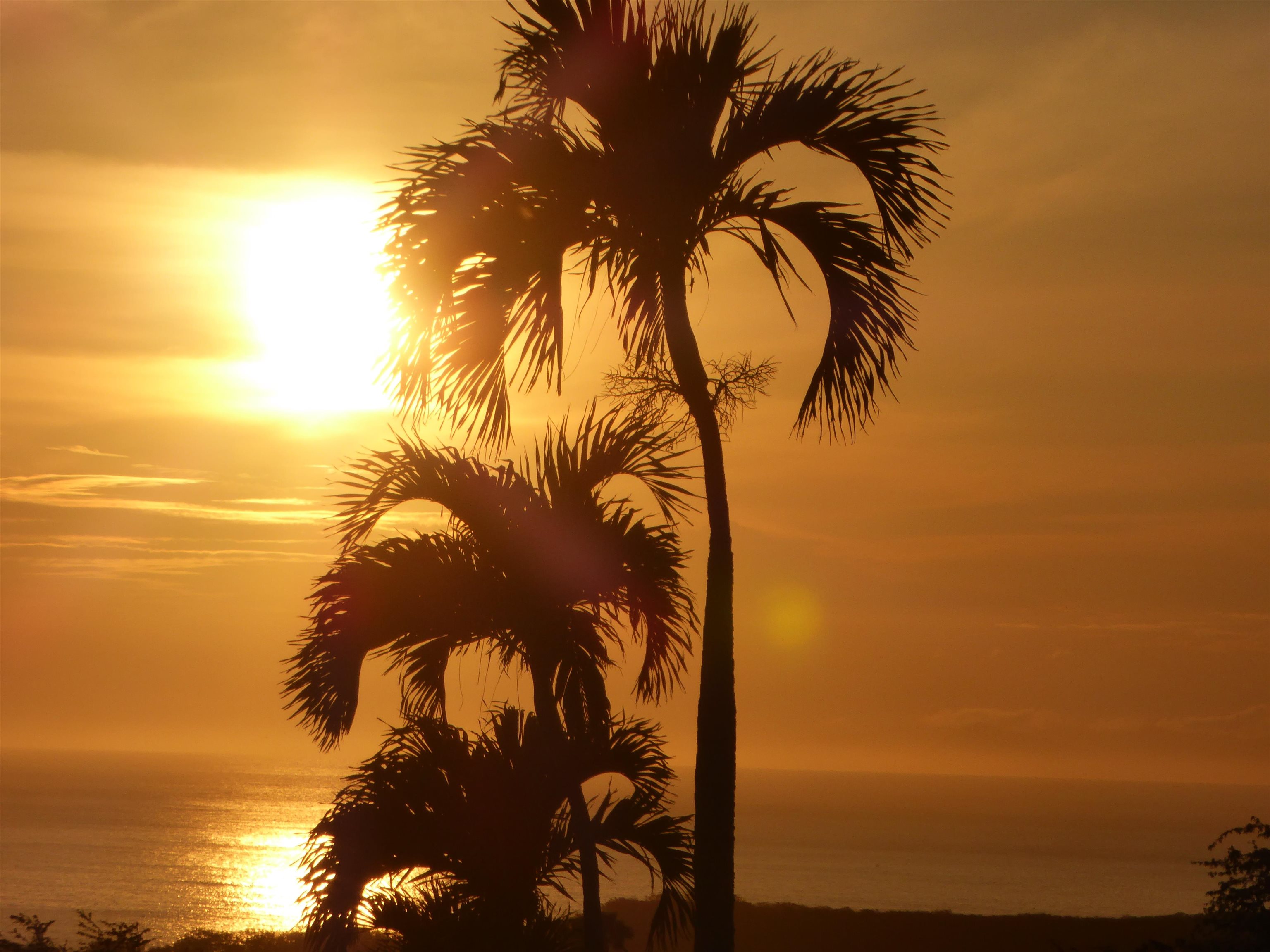 91  Noho Lio Rd , Molokai home - photo 23 of 27
