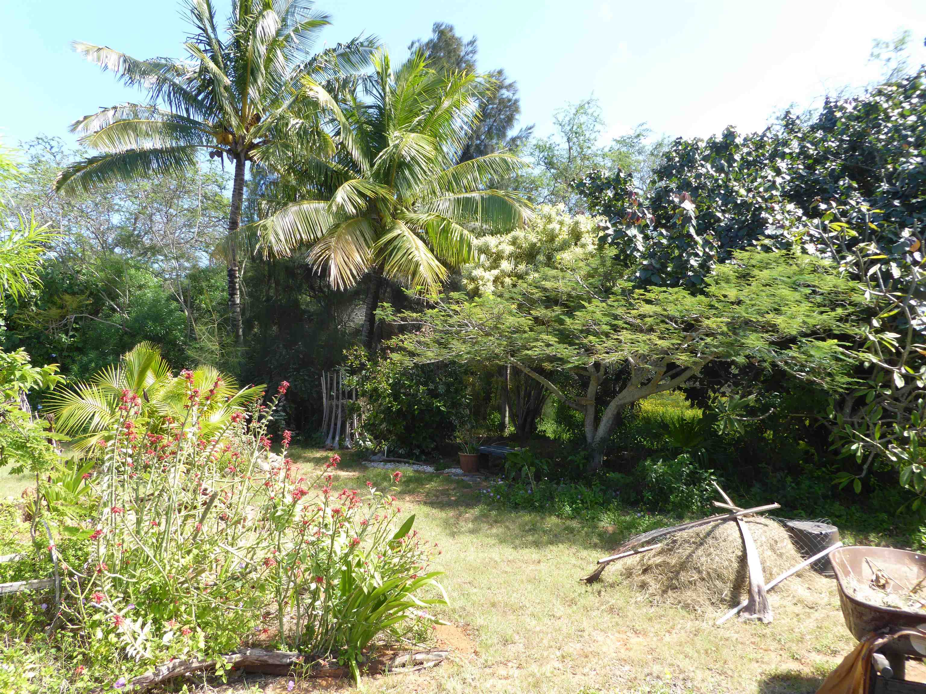 91  Noho Lio Rd , Molokai home - photo 10 of 27