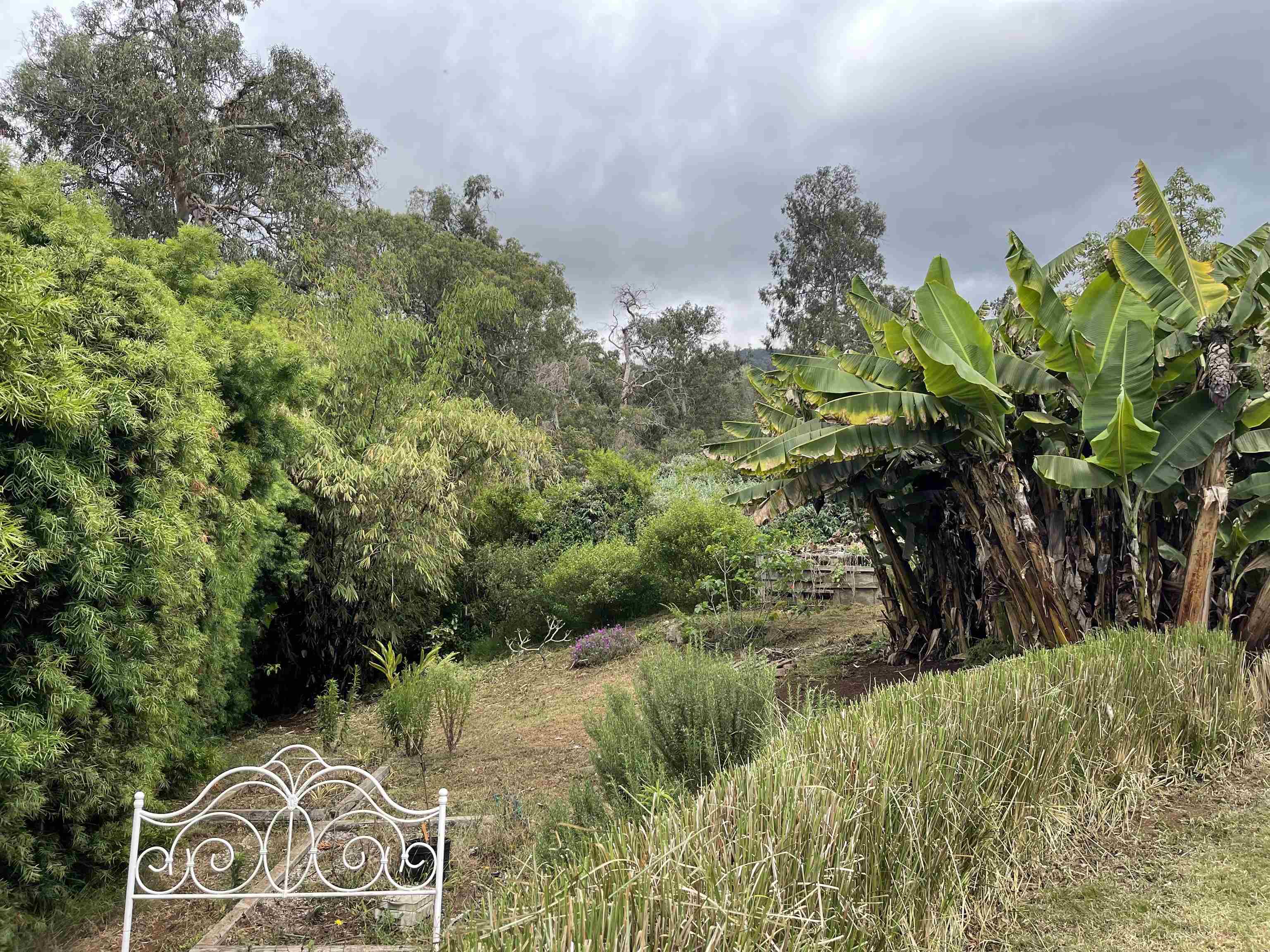 91  Waiakoa Rd , Kula/Ulupalakua/Kanaio home - photo 31 of 33