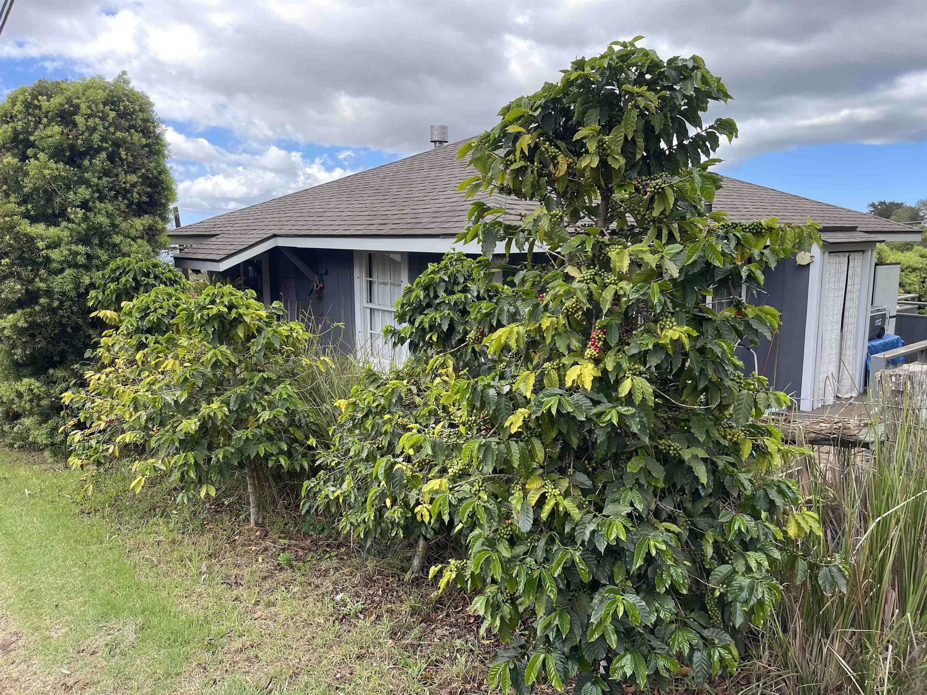 91  Waiakoa Rd , Kula/Ulupalakua/Kanaio home - photo 32 of 33