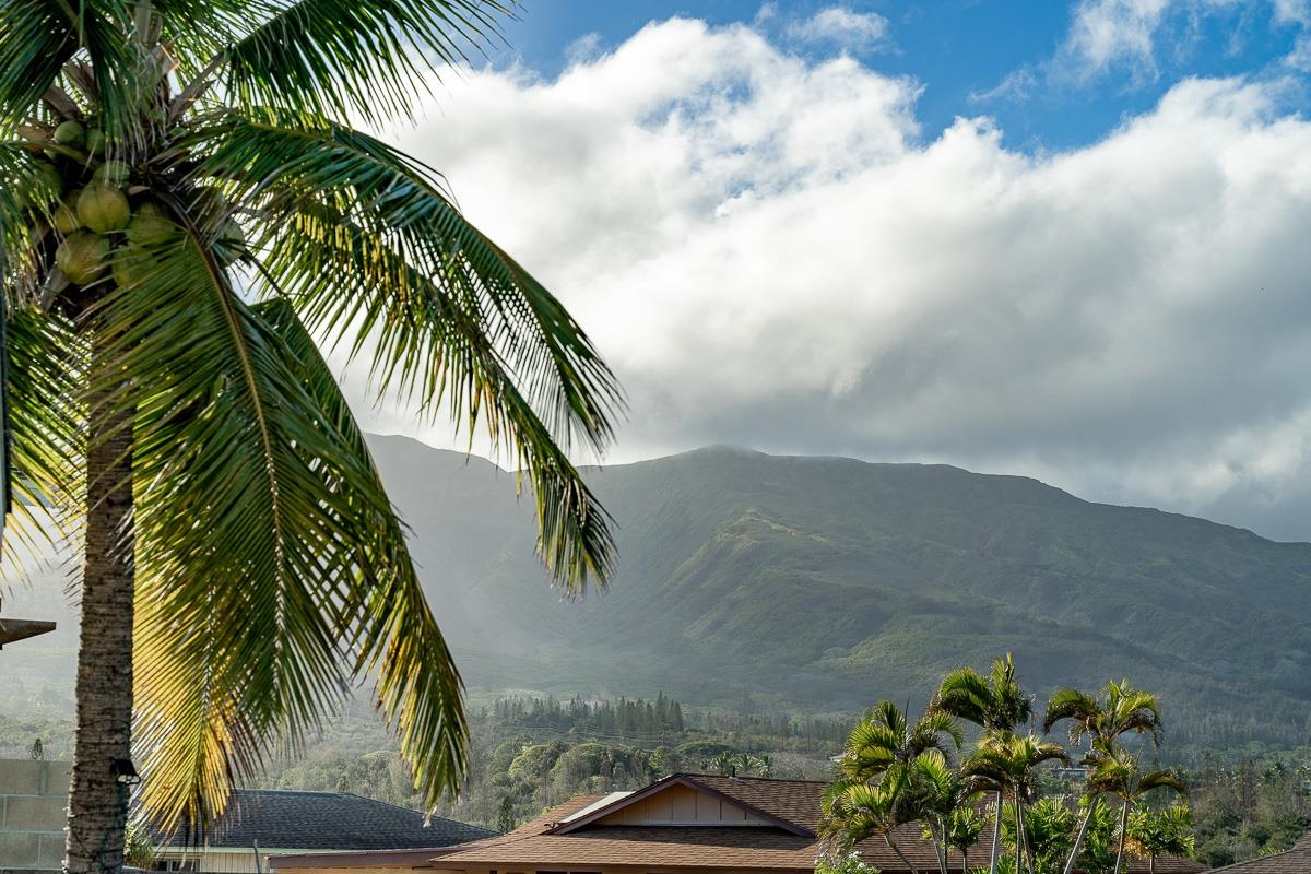 911  Lekeona Loop , Wailuku home - photo 39 of 46