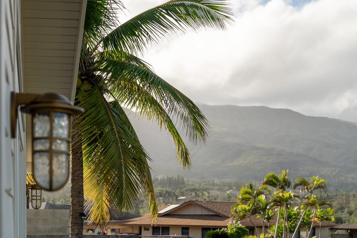 911  Lekeona Loop , Wailuku home - photo 40 of 46