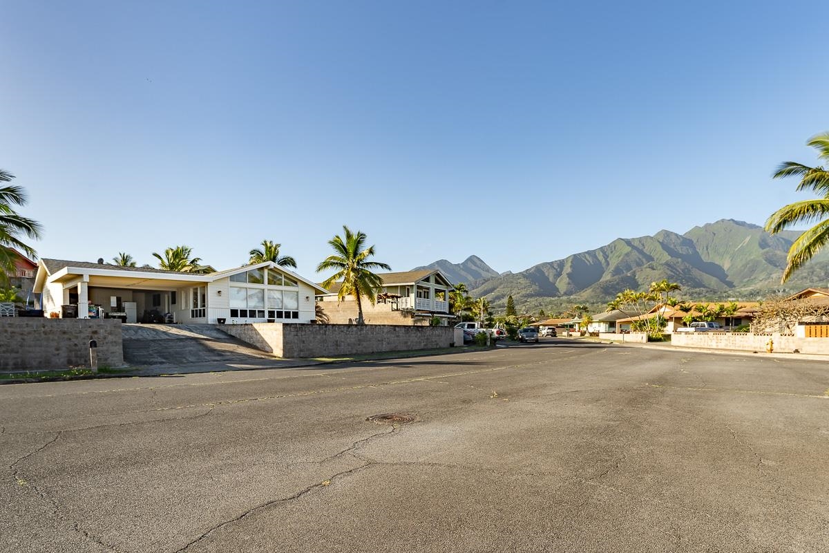 911  Lekeona Loop , Wailuku home - photo 46 of 46