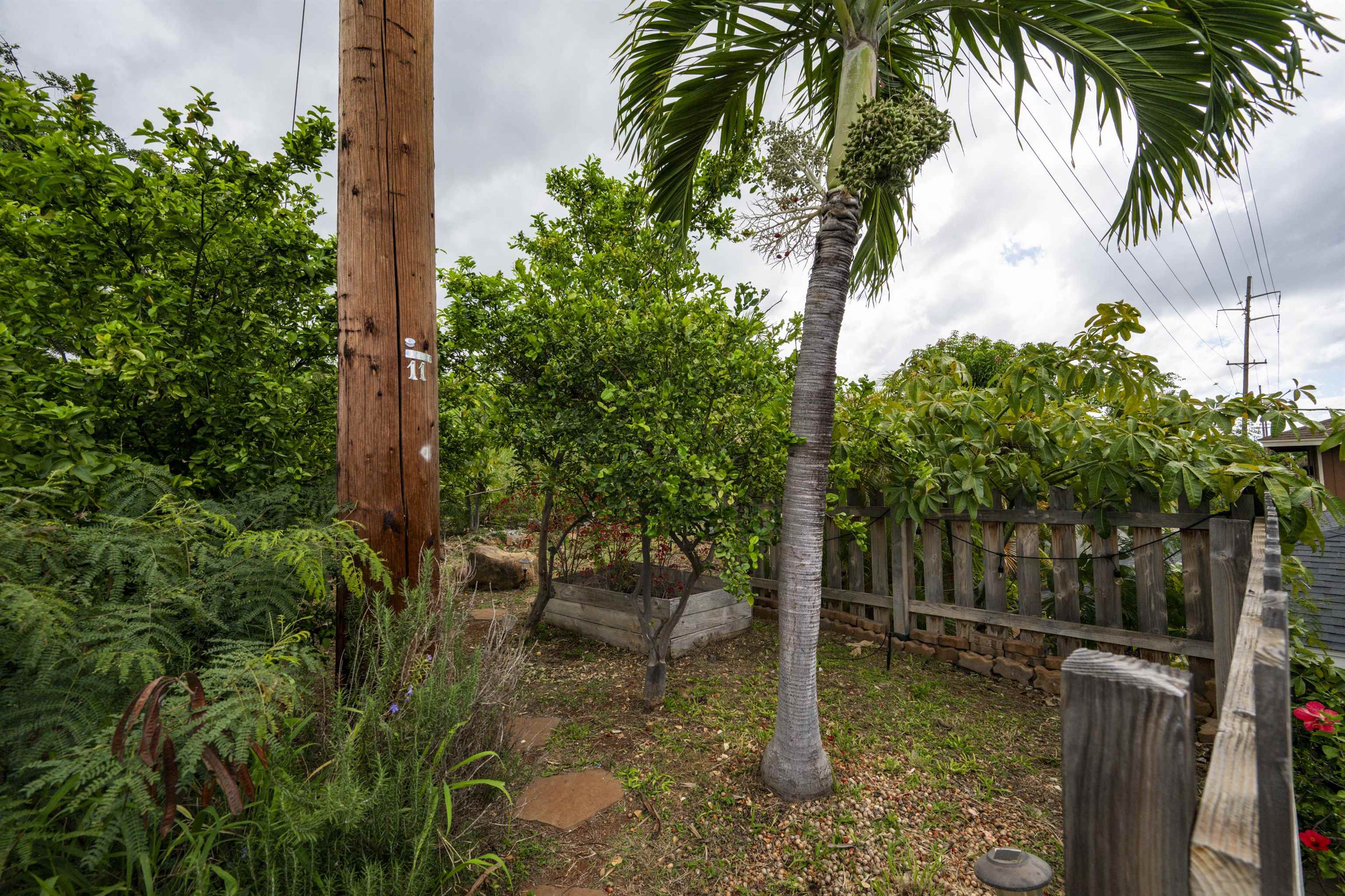 912  N Niheu Pl Lahainaluna, Lahaina home - photo 17 of 45