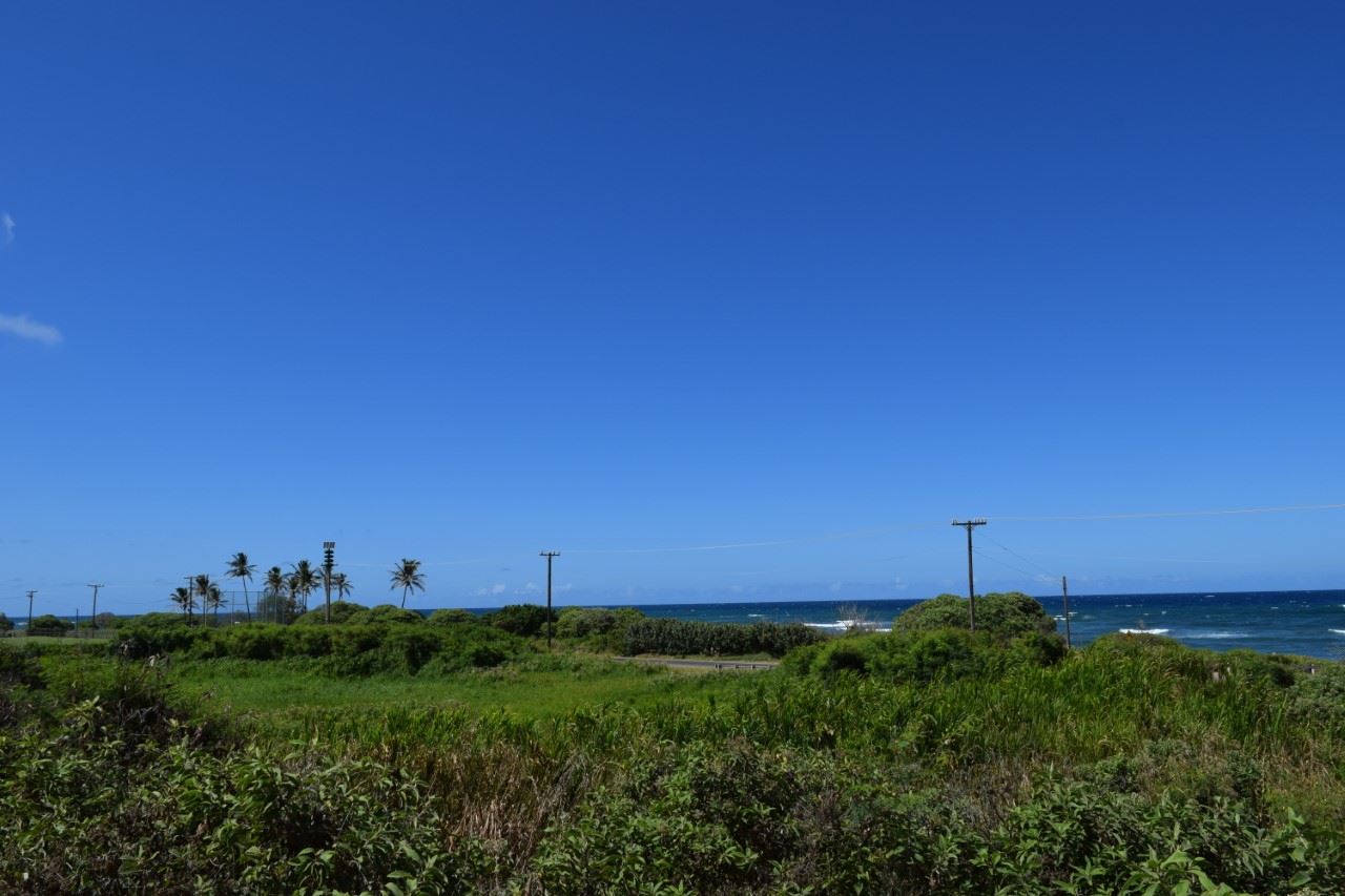 920 Akake St  Wailuku, Hi vacant land for sale - photo 12 of 25