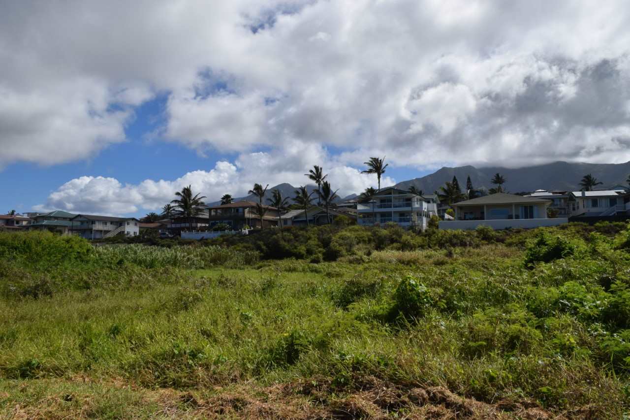 920 Akake St  Wailuku, Hi vacant land for sale - photo 16 of 25