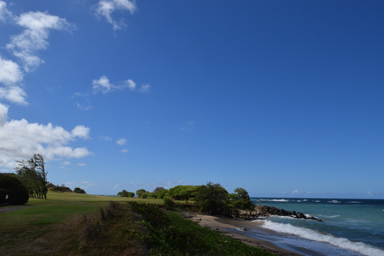 920 Akake St  Wailuku, Hi vacant land for sale - photo 20 of 25