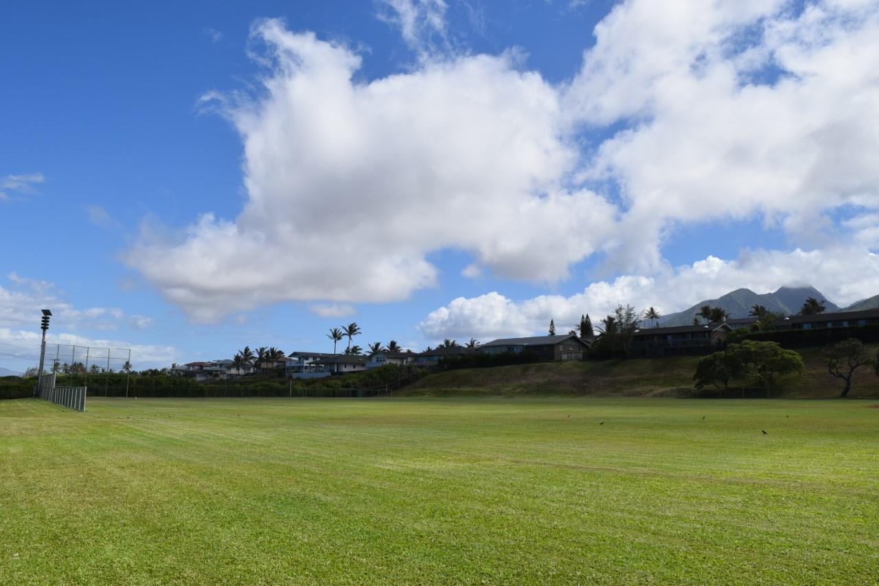 920 Akake St  Wailuku, Hi vacant land for sale - photo 21 of 25