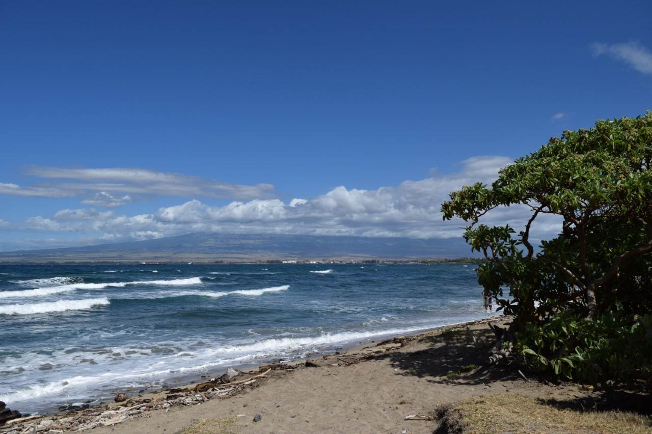 920 Akake St  Wailuku, Hi vacant land for sale - photo 24 of 25