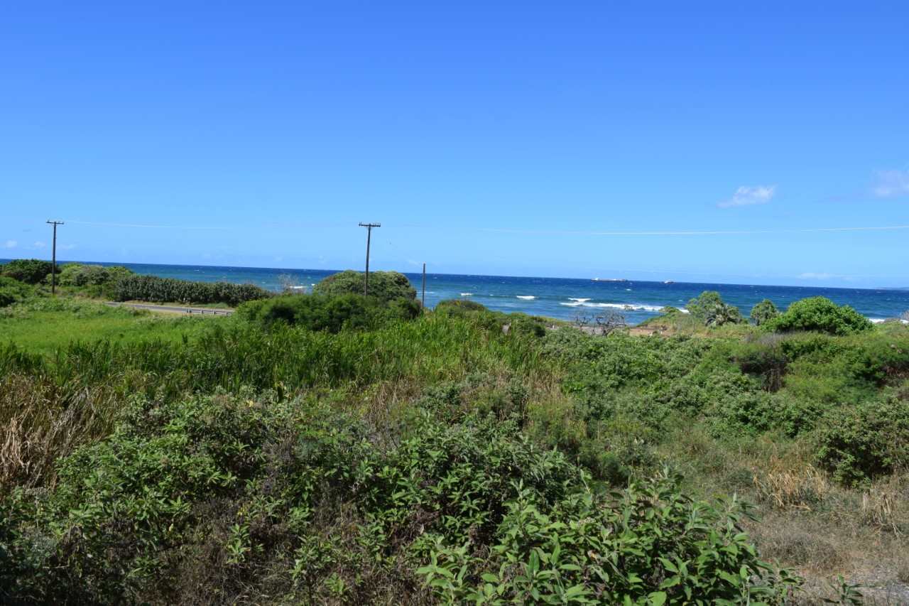 920 Akake St  Wailuku, Hi vacant land for sale - photo 9 of 25