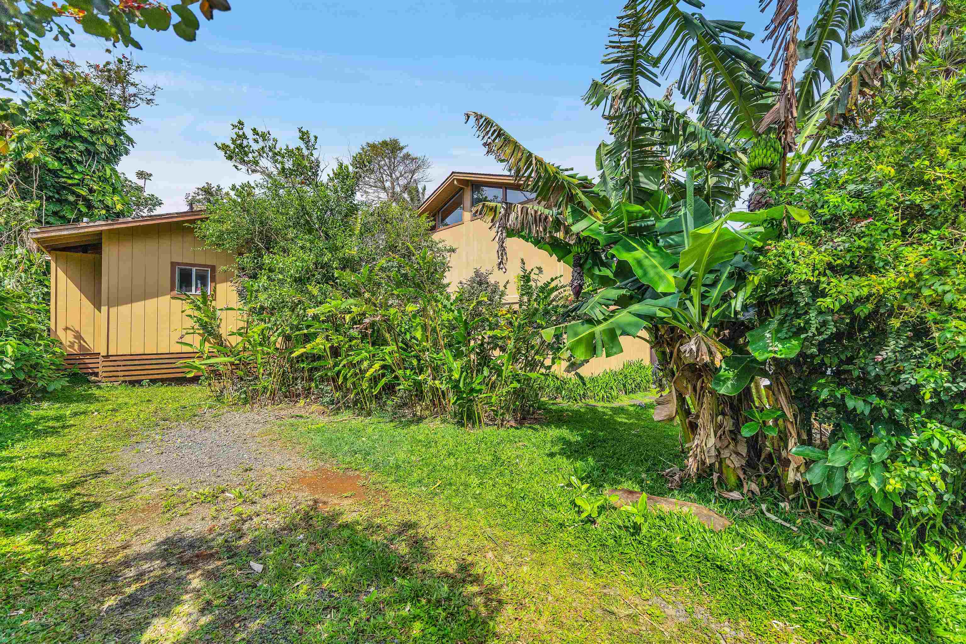 925  Kaupakalua Rd , Haiku home - photo 49 of 50