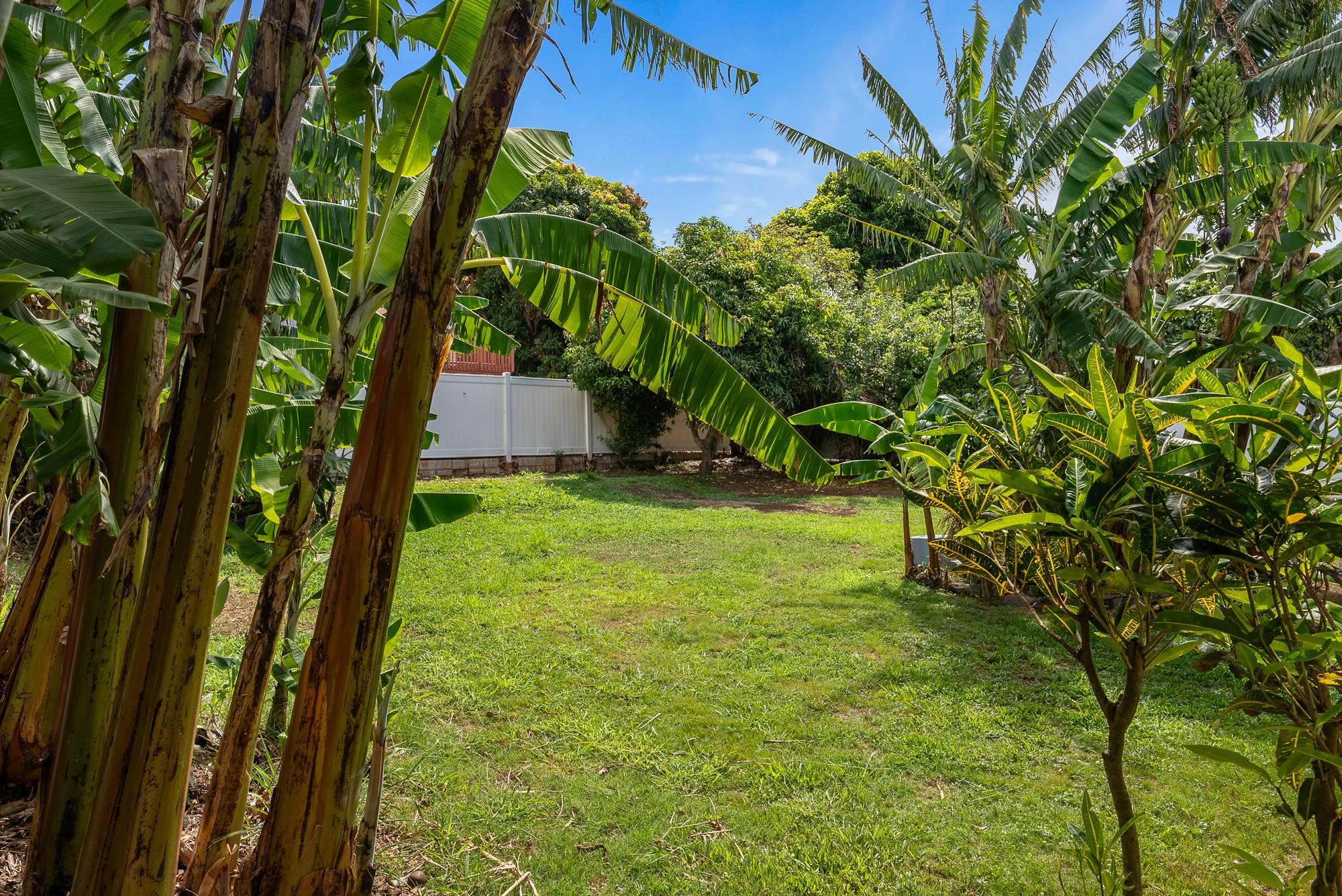 93  Kealaloa Ave , Makawao/Olinda/Haliimaile home - photo 23 of 27