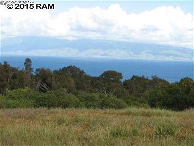93 Keoawa Pl Lot 6 Lahaina, Hi vacant land for sale - photo 2 of 2