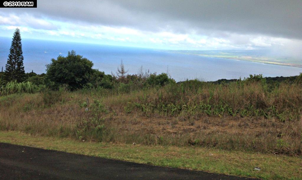 93 Lahaole Pl MCR 21 Wailuku, Hi vacant land for sale - photo 3 of 10