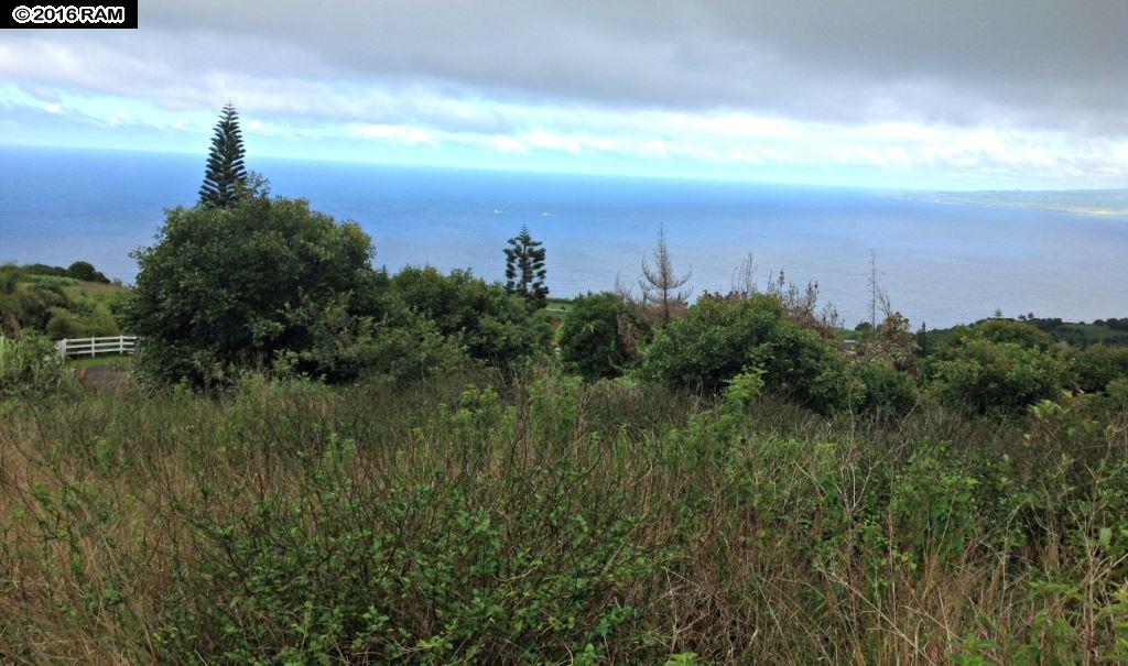 93 Lahaole Pl MCR 21 Wailuku, Hi vacant land for sale - photo 5 of 10