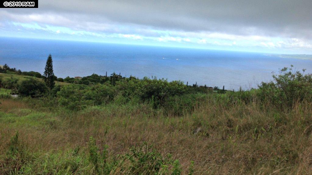 93 Lahaole Pl MCR 21 Wailuku, Hi vacant land for sale - photo 6 of 10