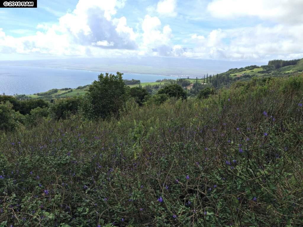 93 Lahaole Pl MCR 21 Wailuku, Hi vacant land for sale - photo 7 of 10
