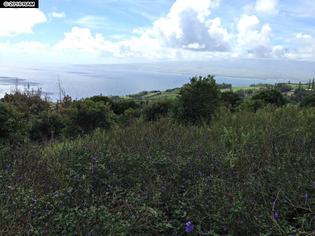 93 Lahaole Pl MCR 21 Wailuku, Hi vacant land for sale - photo 8 of 10