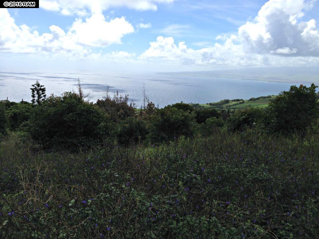 93 Lahaole Pl MCR 21 Wailuku, Hi vacant land for sale - photo 9 of 10