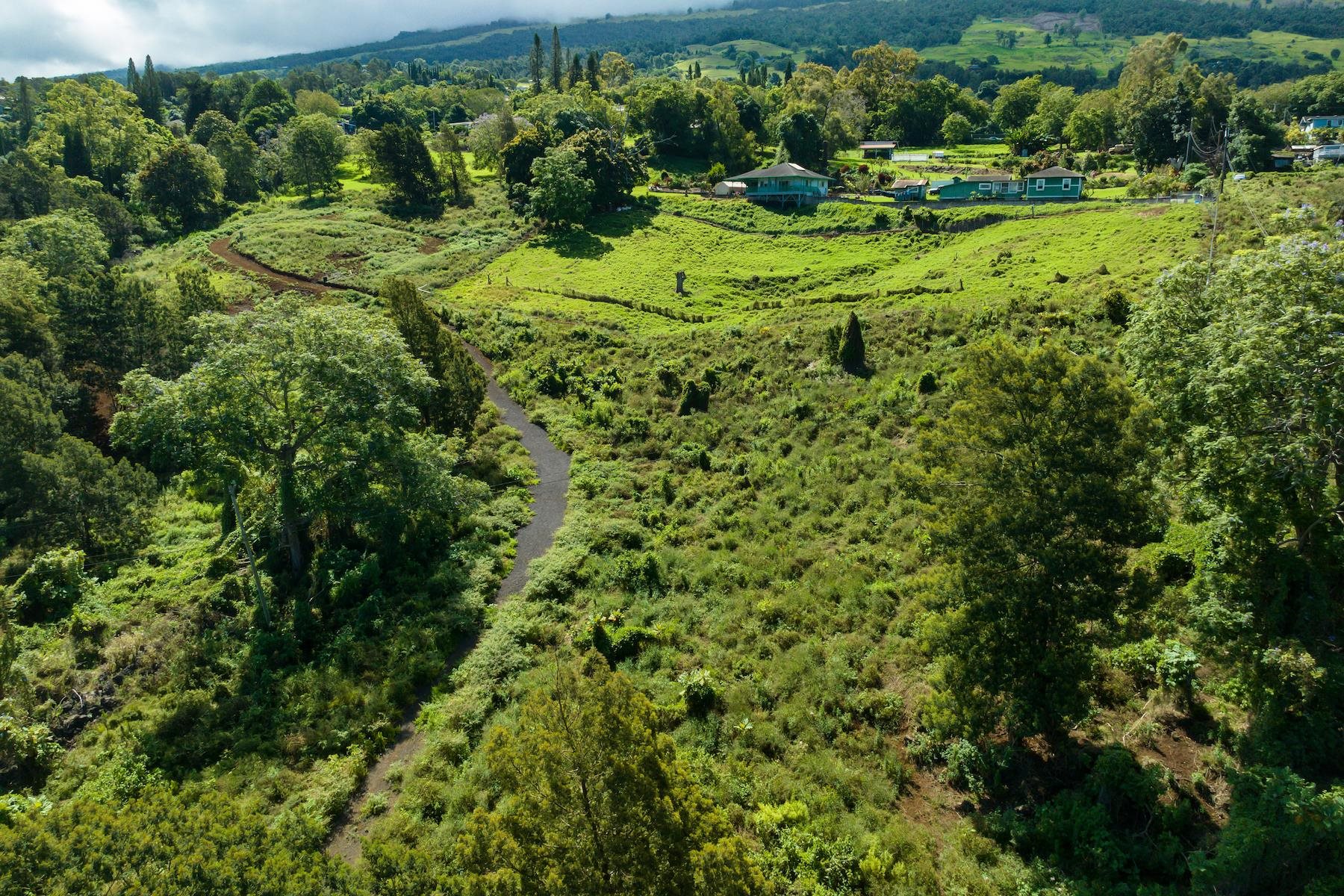 9300 Kula Hwy  Kula, Hi vacant land for sale - photo 11 of 20