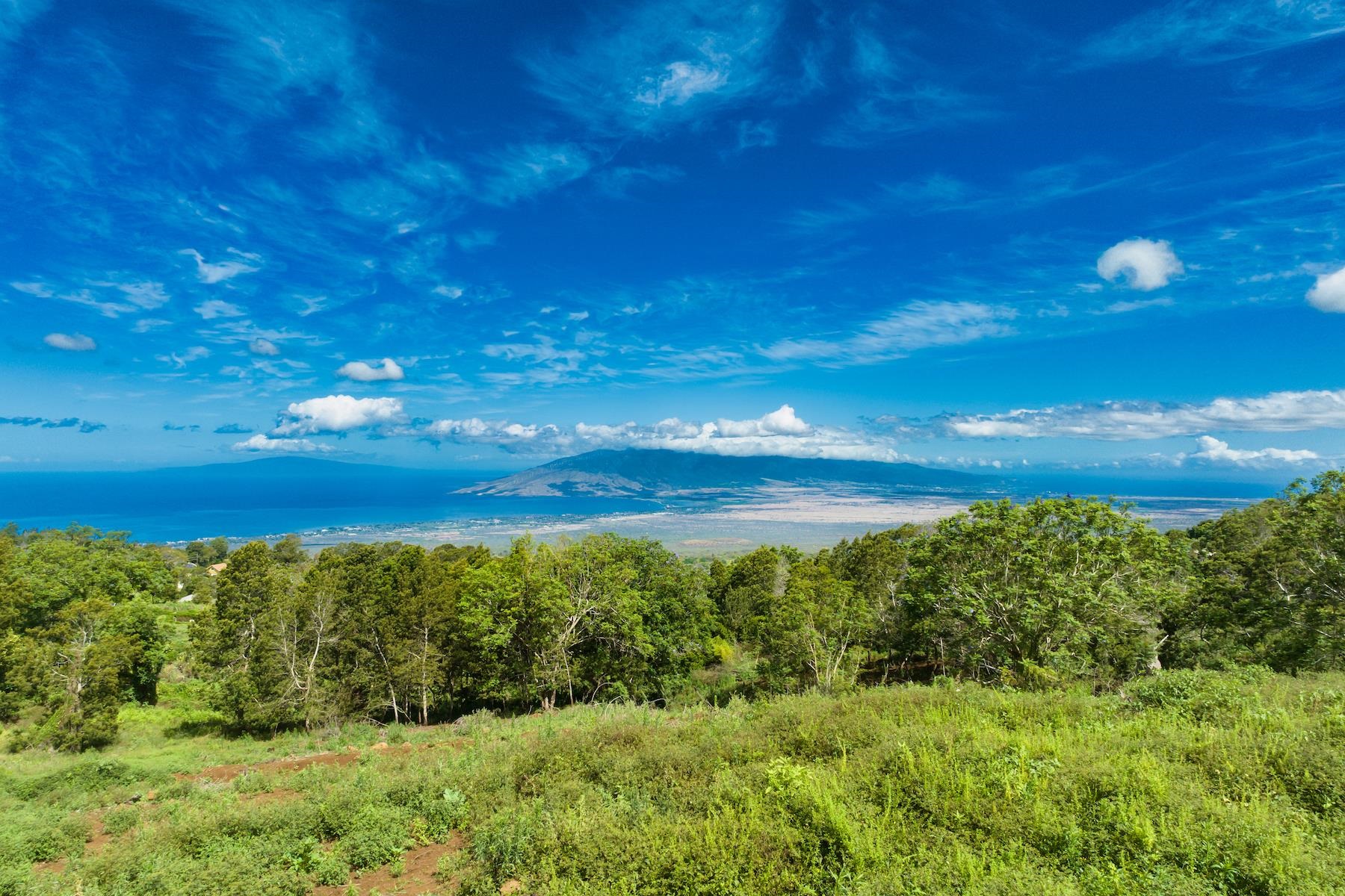 9300 Kula Hwy  Kula, Hi vacant land for sale - photo 13 of 20