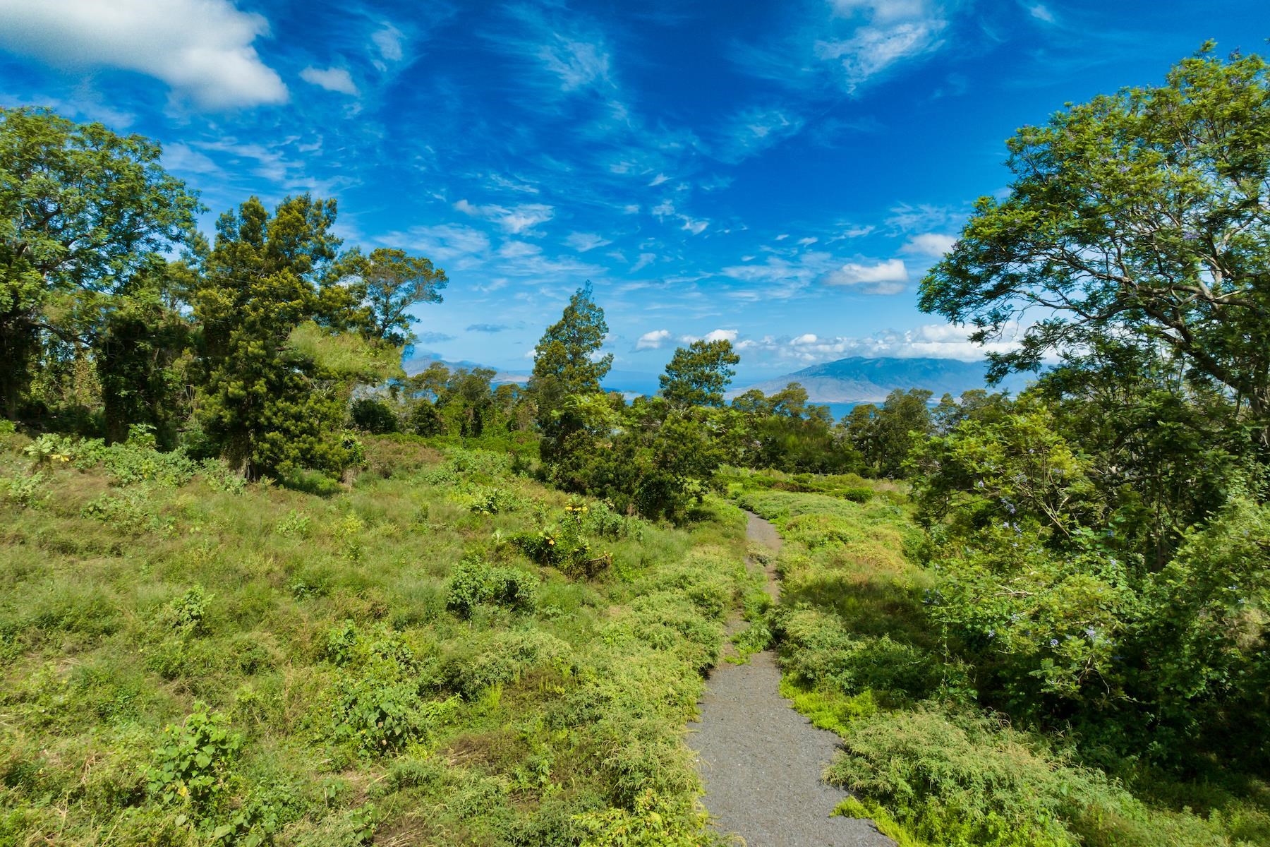 9300 Kula Hwy  Kula, Hi vacant land for sale - photo 14 of 20