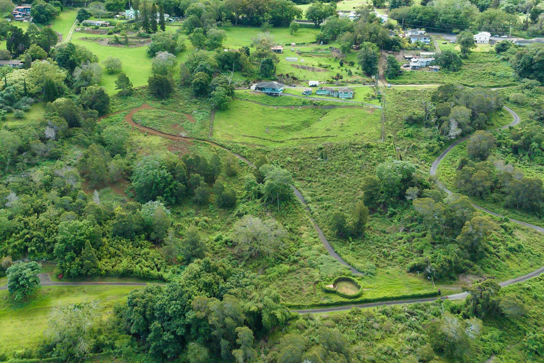 9300 Kula Hwy  Kula, Hi vacant land for sale - photo 20 of 20