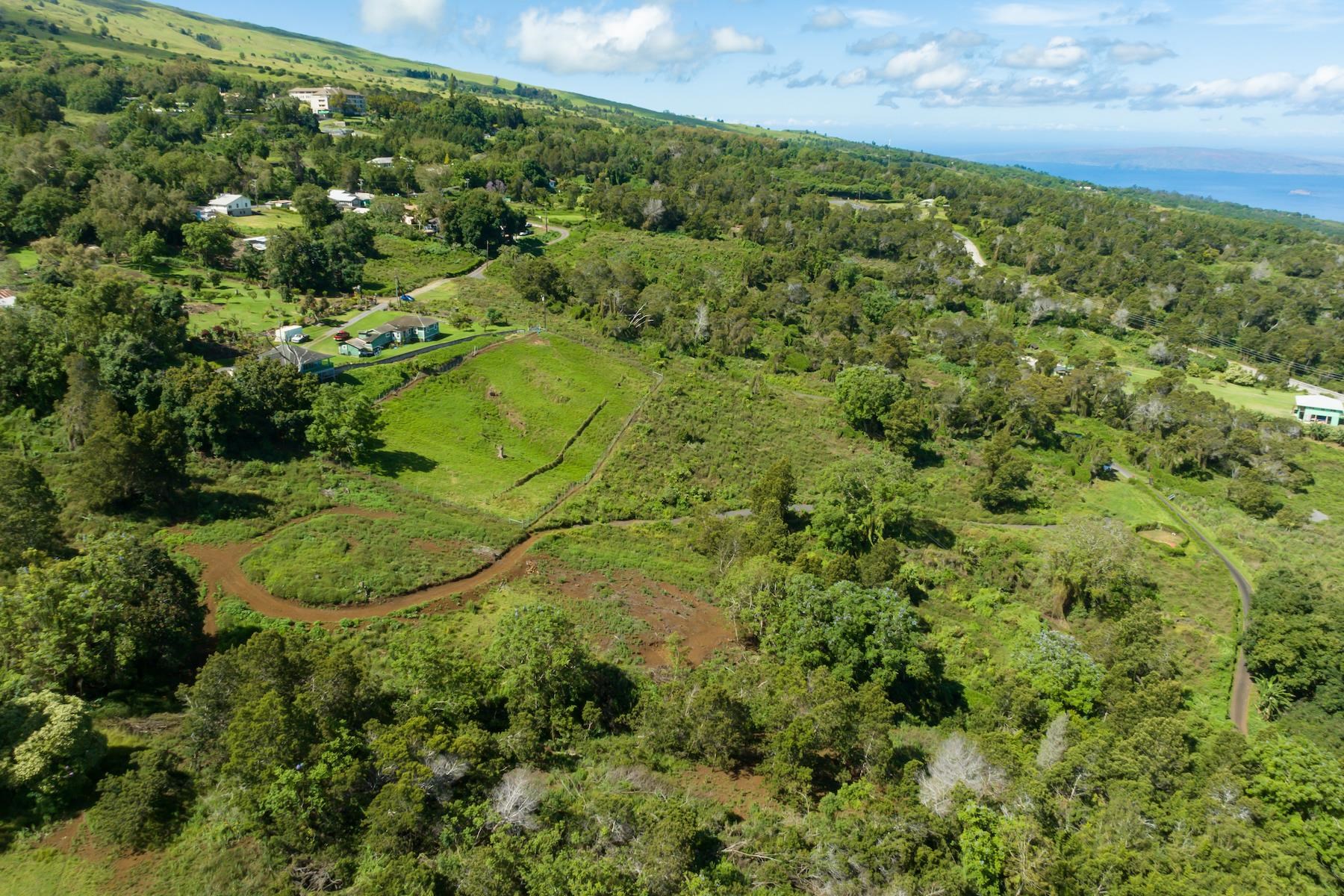 9300 Kula Hwy  Kula, Hi vacant land for sale - photo 3 of 20