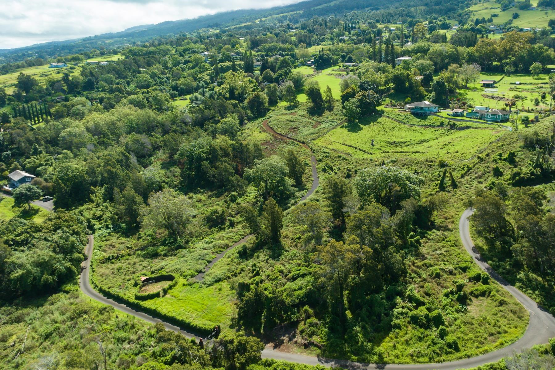 9300 Kula Hwy  Kula, Hi vacant land for sale - photo 6 of 20