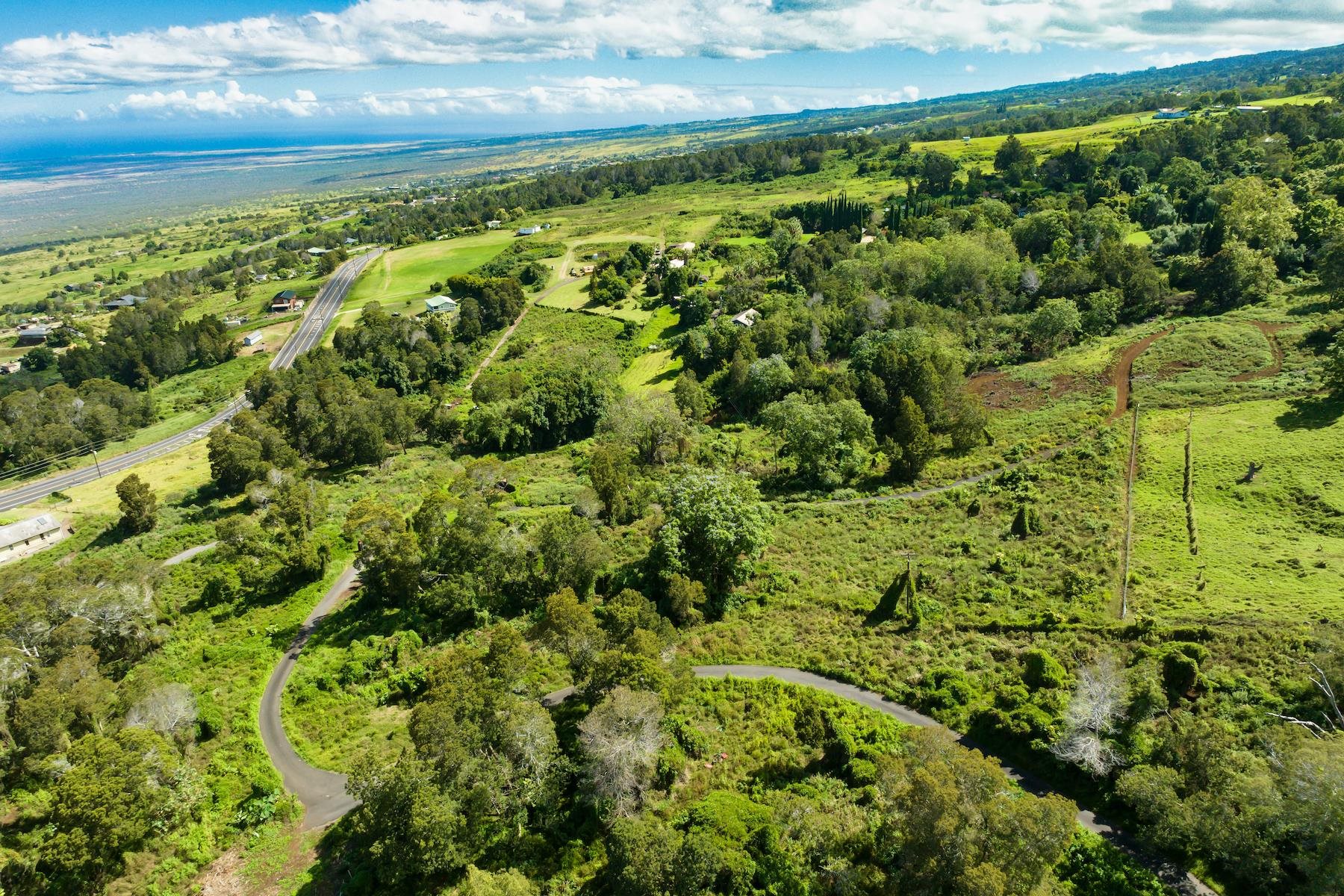 9300 Kula Hwy  Kula, Hi vacant land for sale - photo 7 of 20