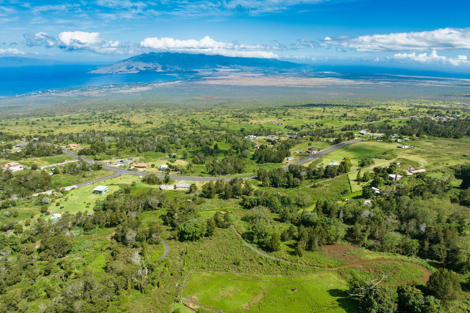 9300 Kula Hwy  Kula, Hi vacant land for sale - photo 8 of 20