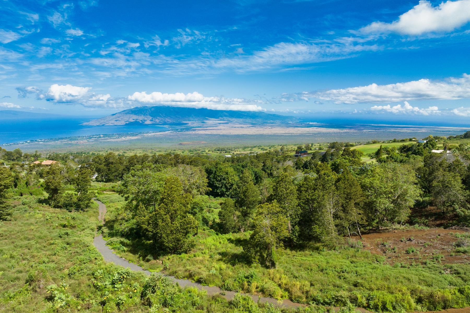 9300 Kula Hwy  Kula, Hi vacant land for sale - photo 9 of 20