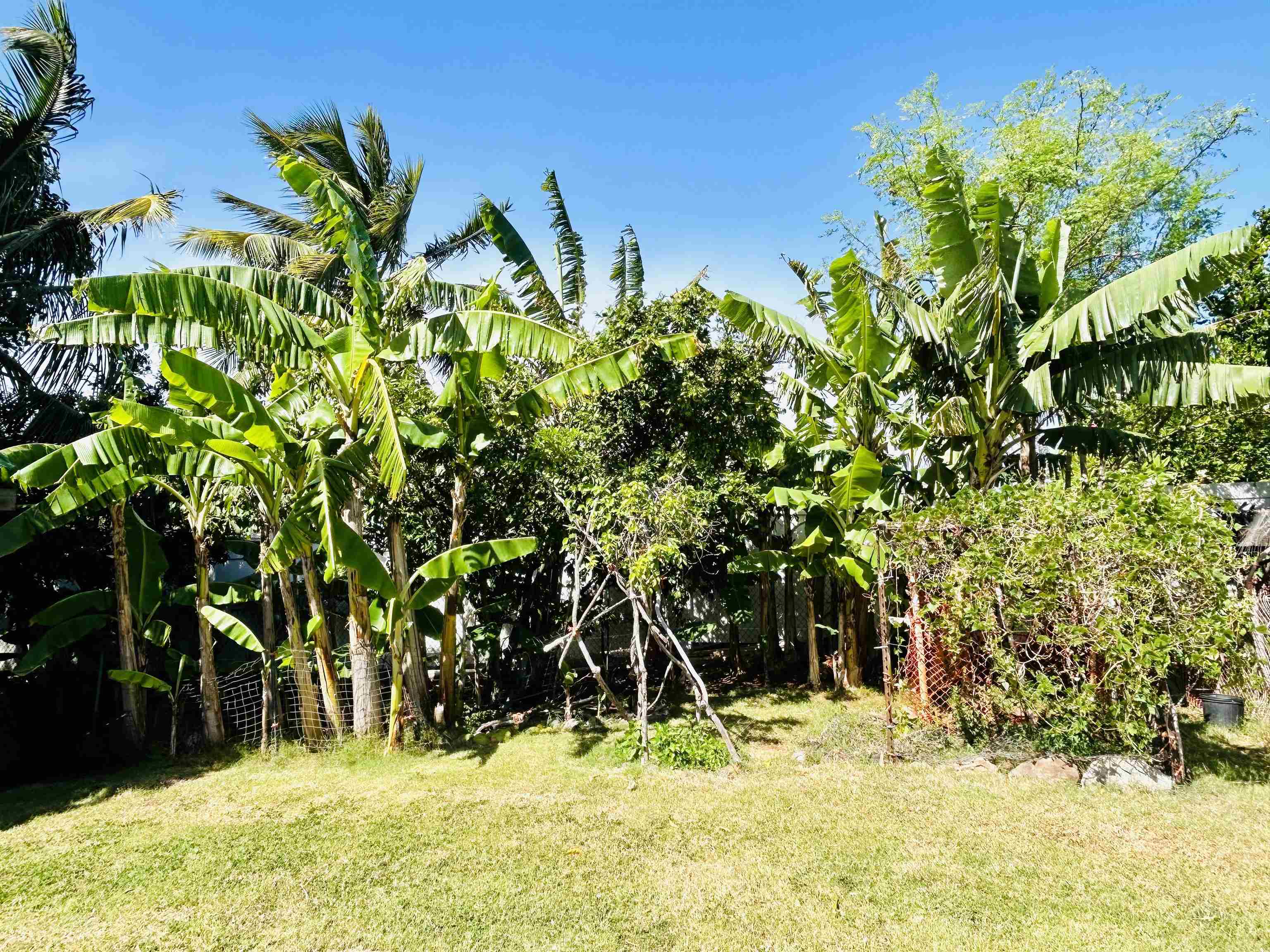 931  Ehoeho St , Makawao/Olinda/Haliimaile home - photo 3 of 5