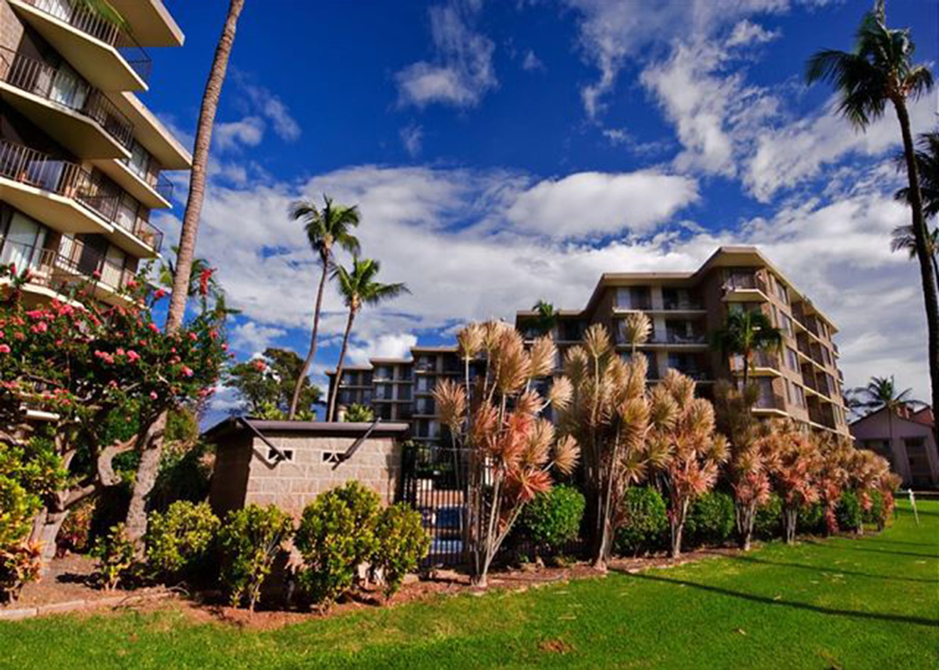 Kauhale Makai condo # 109, Kihei, Hawaii - photo 23 of 30