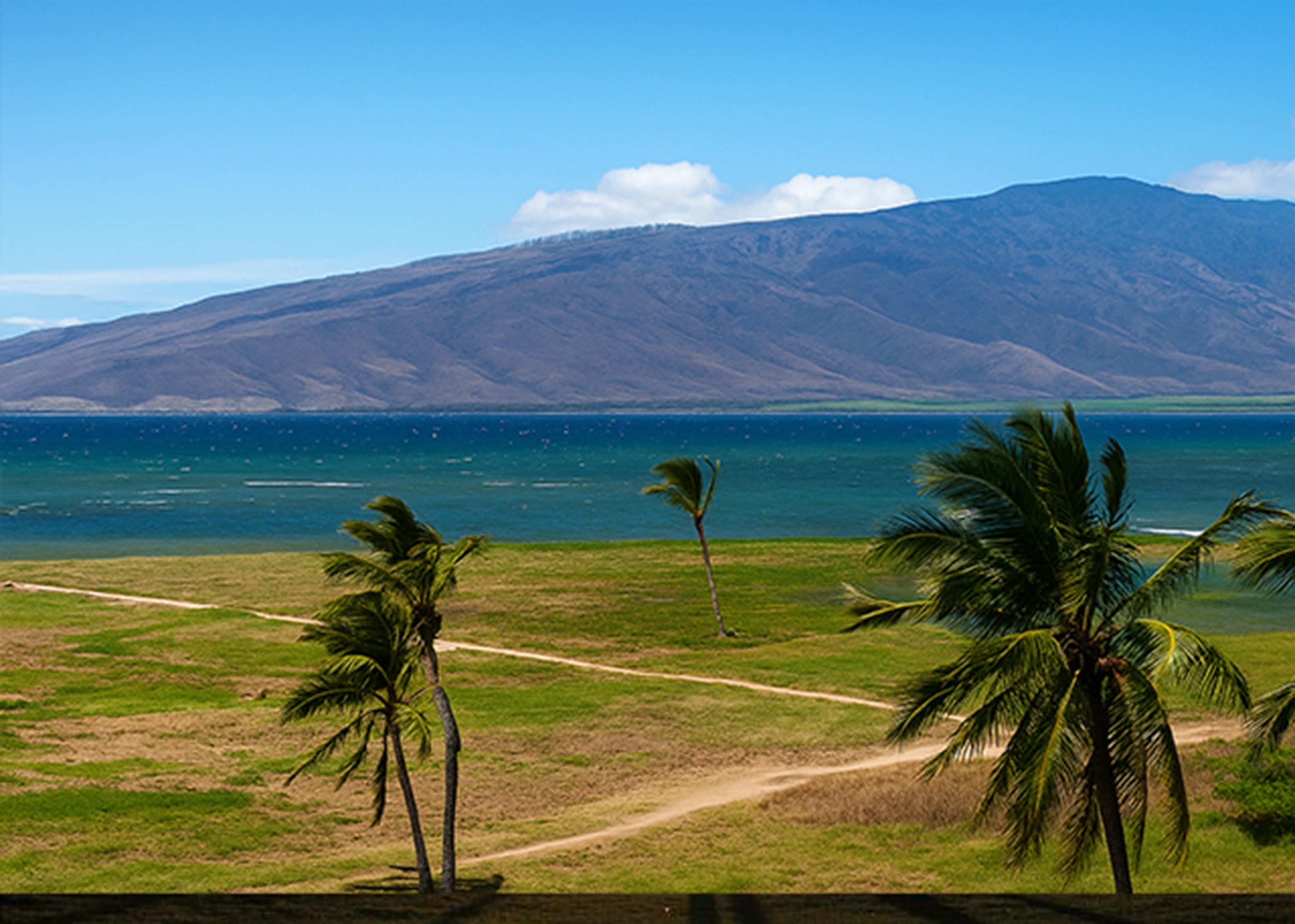 Kauhale Makai condo # 109, Kihei, Hawaii - photo 28 of 30