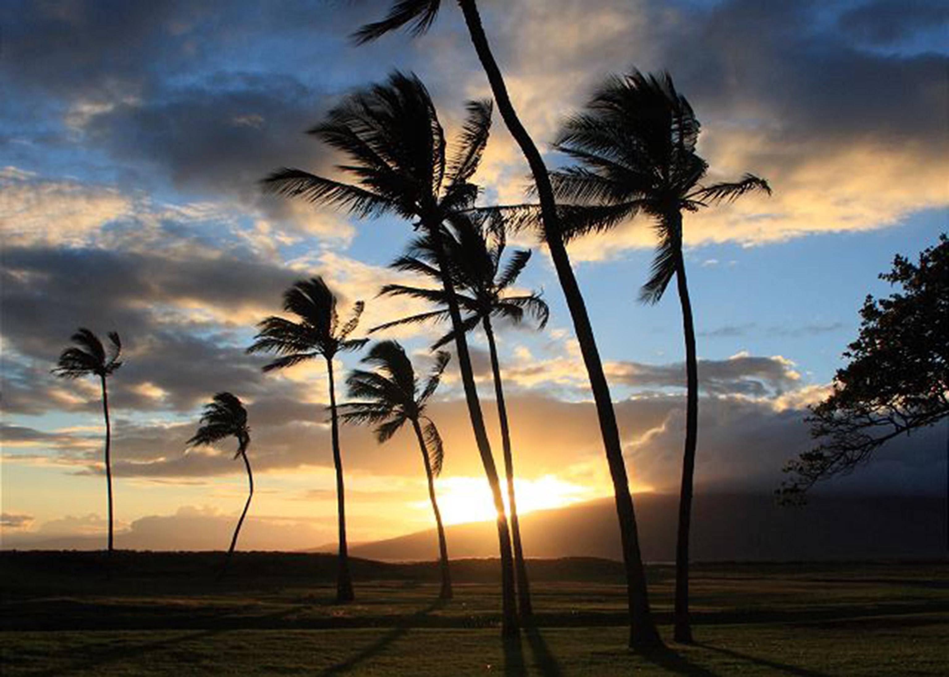 Kauhale Makai condo # 109, Kihei, Hawaii - photo 29 of 30
