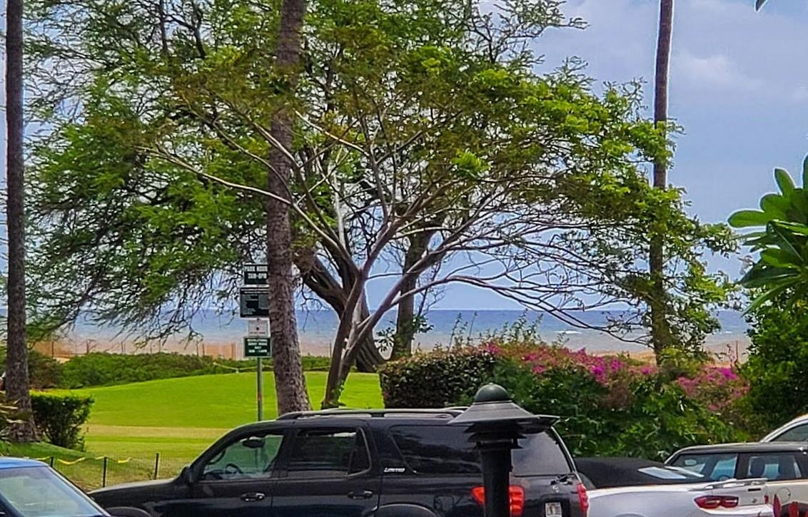 Kauhale Makai condo # 125, Kihei, Hawaii - photo 6 of 30