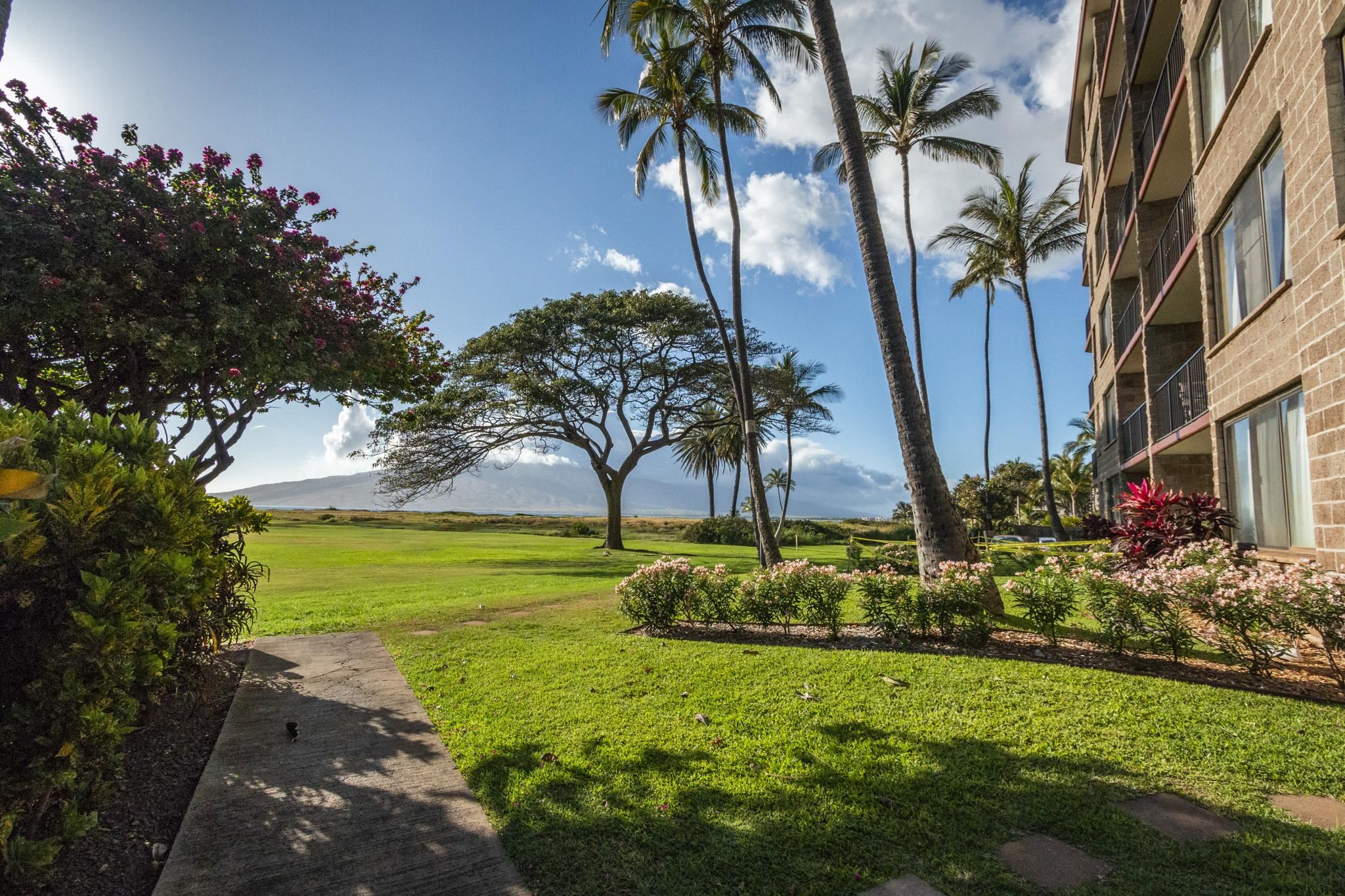 Kauhale Makai condo # 301, Kihei, Hawaii - photo 14 of 46