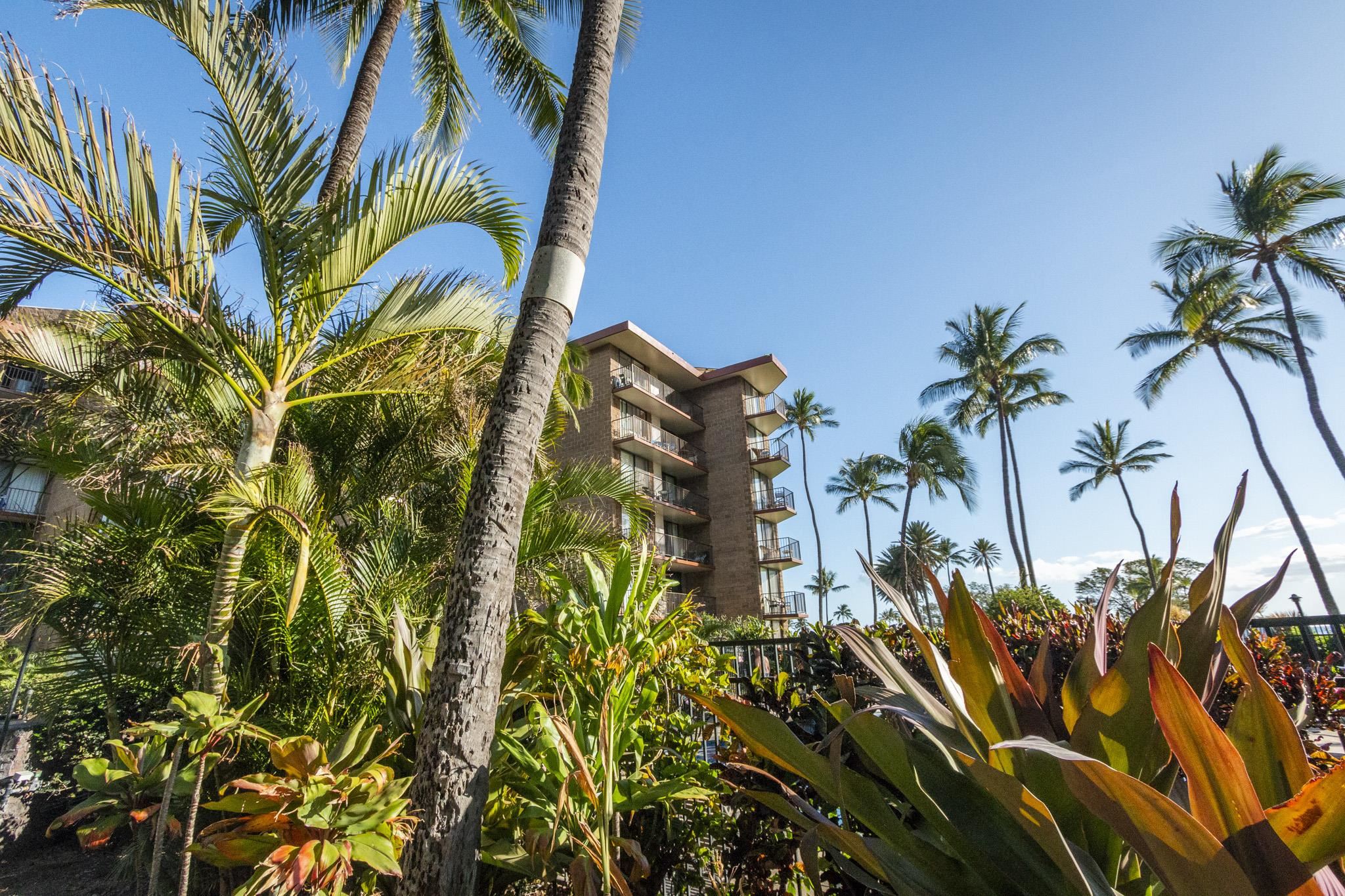 Kauhale Makai condo # 301, Kihei, Hawaii - photo 15 of 46