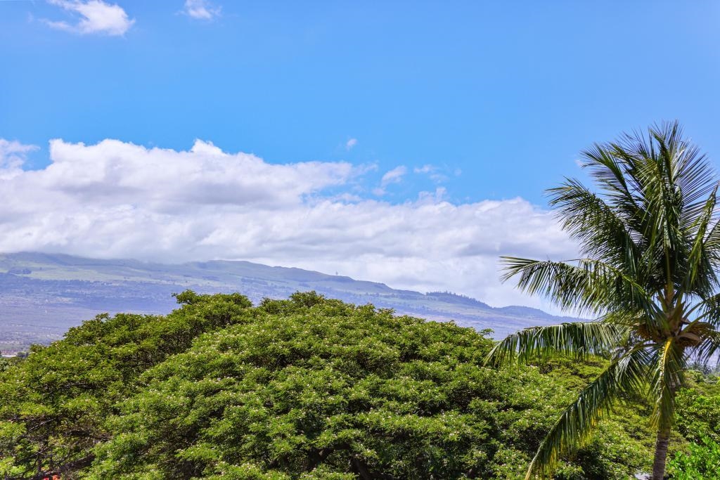 Kauhale Makai condo # 421, Kihei, Hawaii - photo 18 of 35