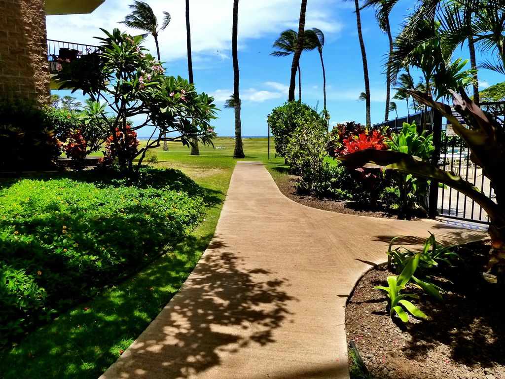 Kauhale Makai condo # 424, Kihei, Hawaii - photo 16 of 23