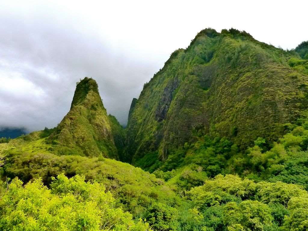 Kauhale Makai condo # 424, Kihei, Hawaii - photo 23 of 23