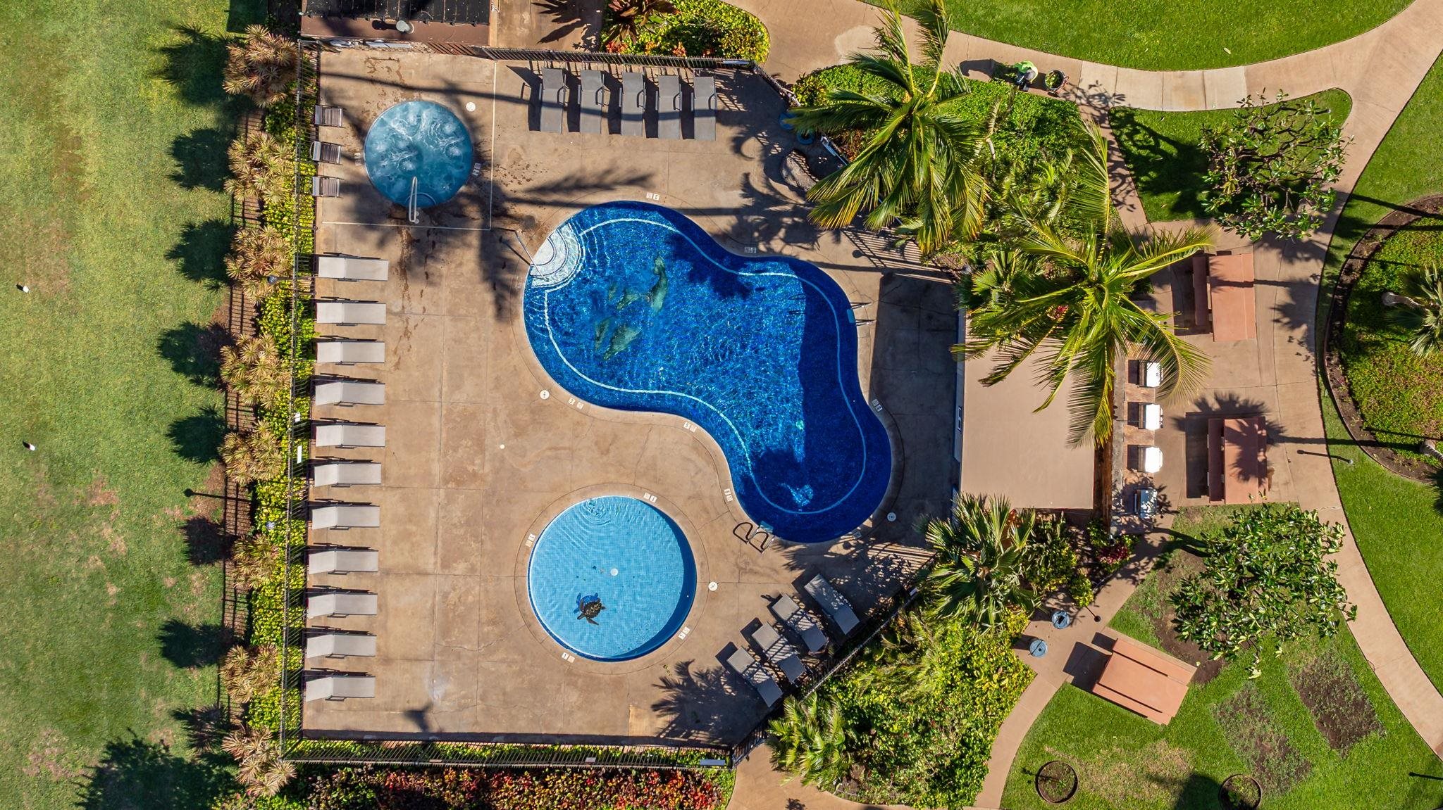 Kauhale Makai condo # 505, Kihei, Hawaii - photo 21 of 36